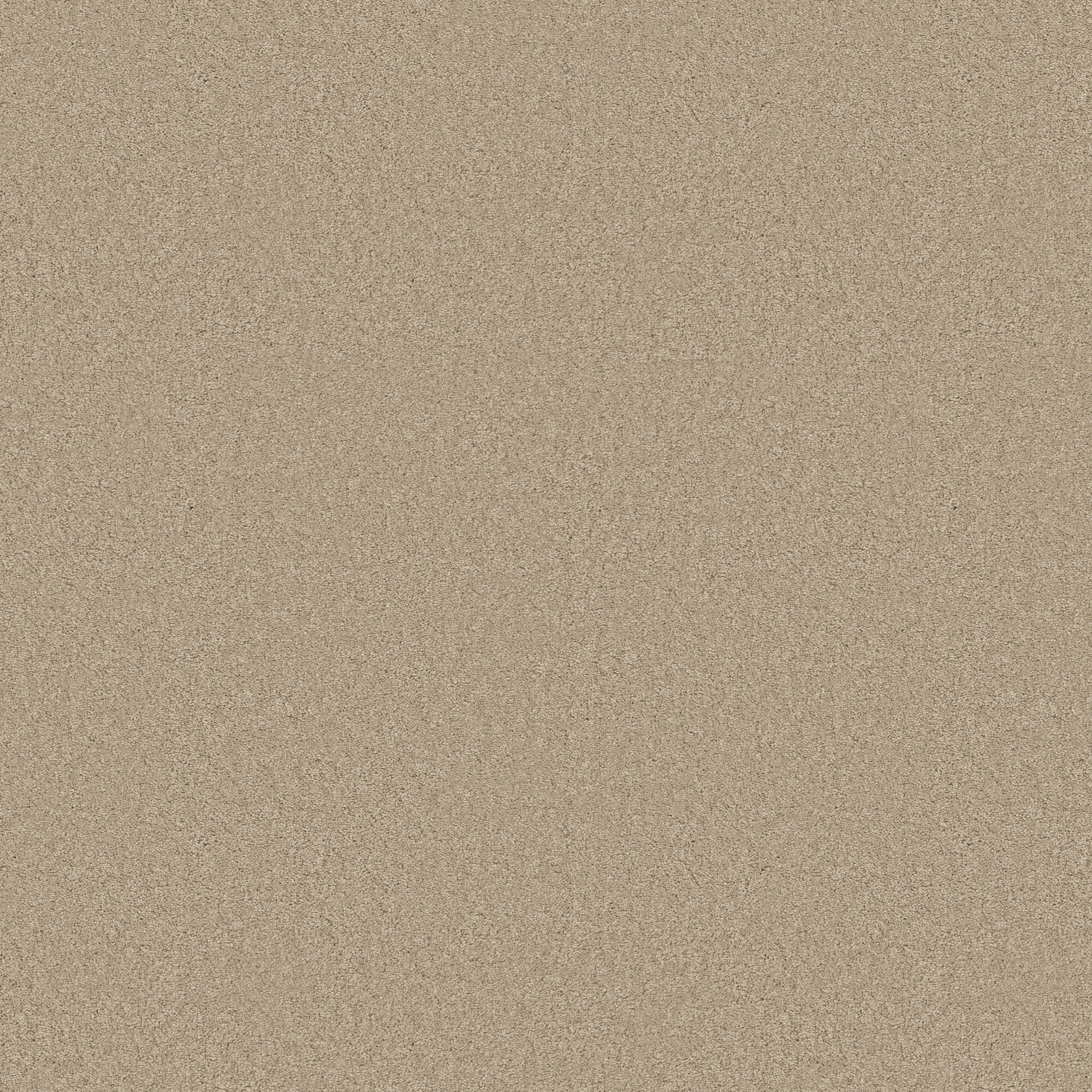 Blissful Beauty-Buff-ZB269_00173