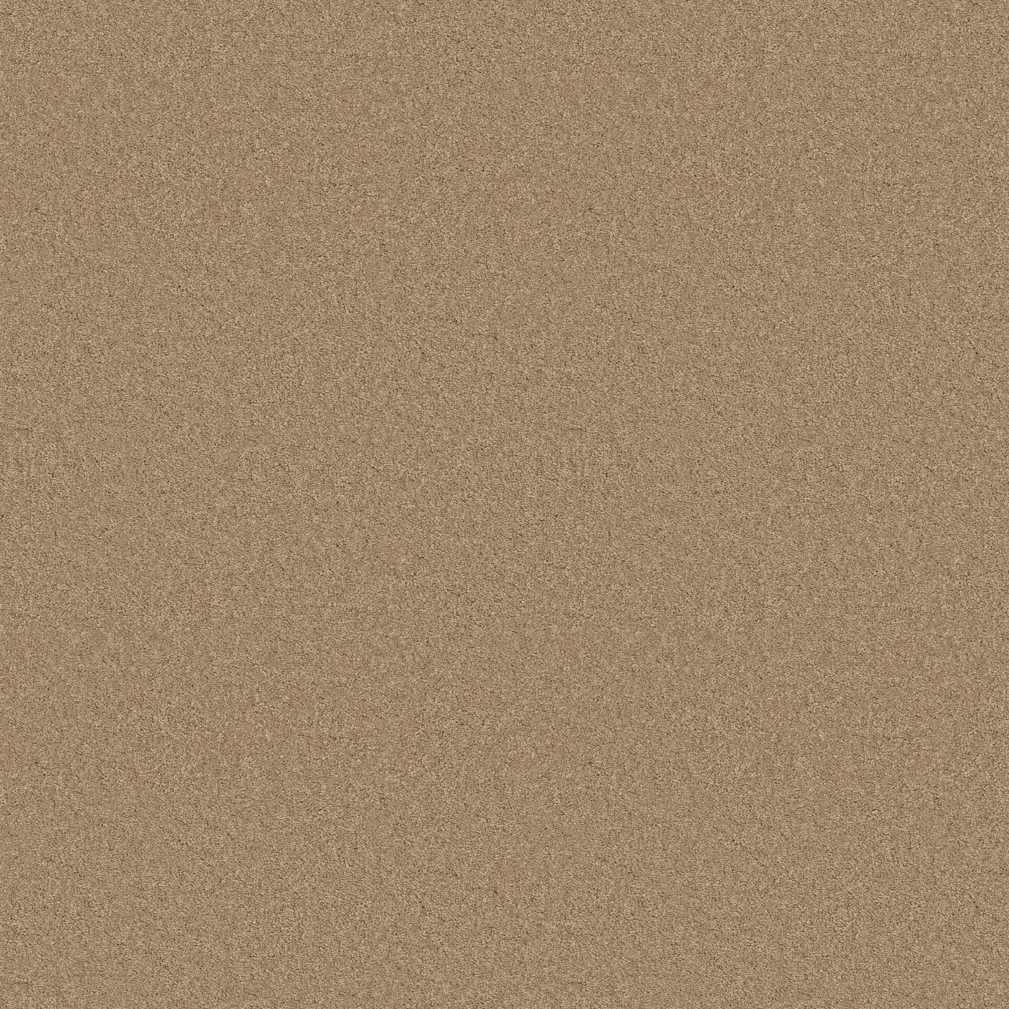 Blissful Beauty-Natural-ZB269_00174