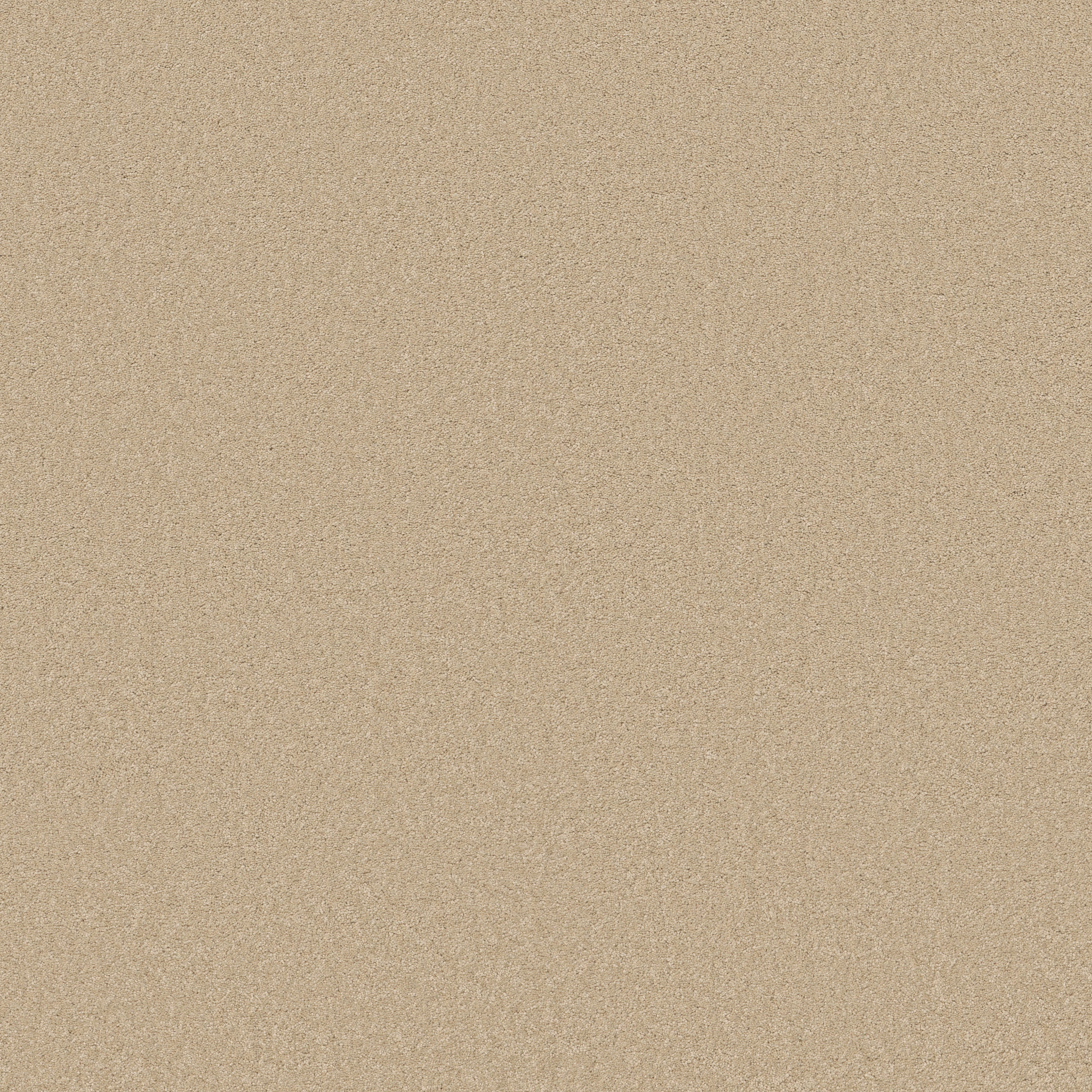 Blissful Beauty - Papyrus - ZB269_00222