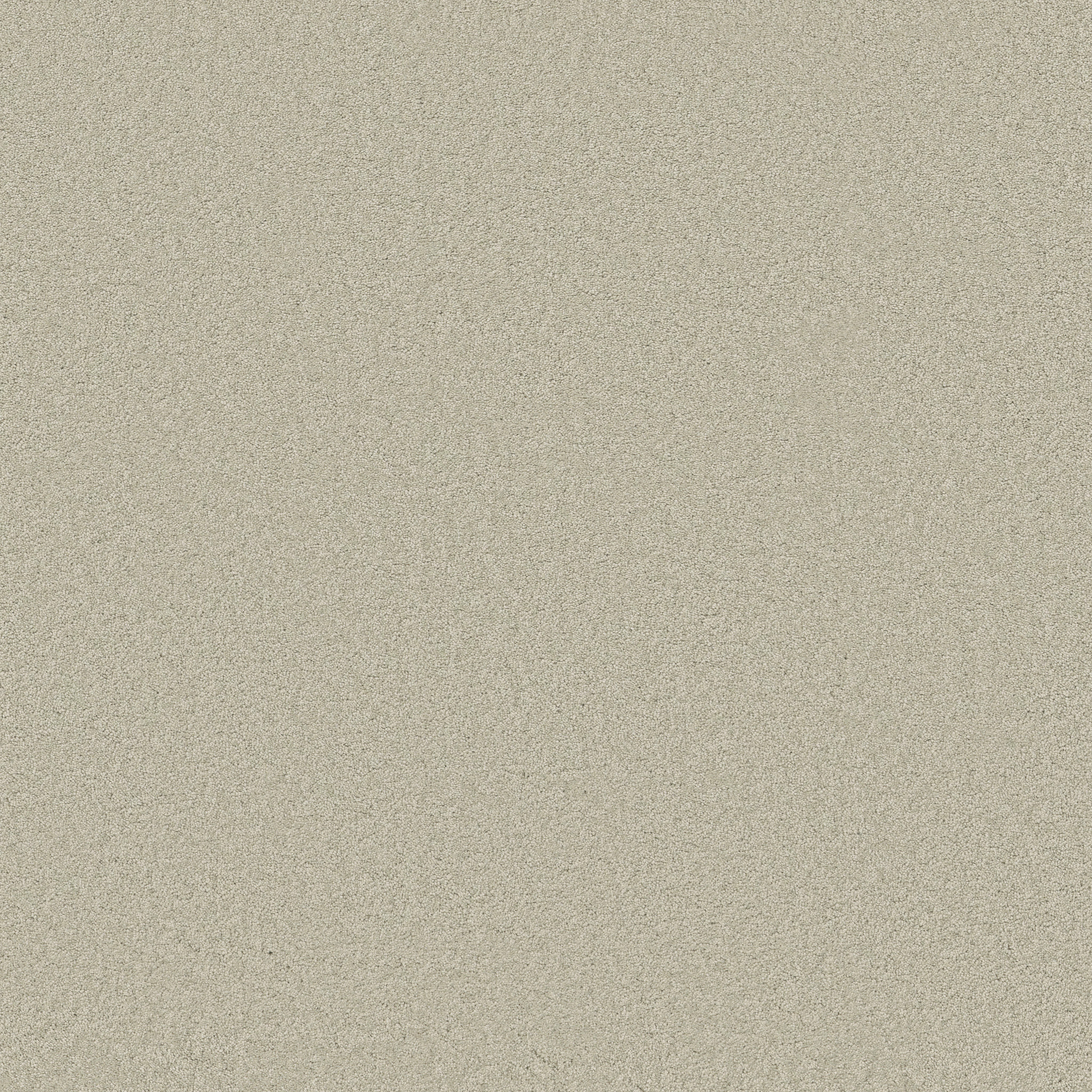 Blissful Beauty-Aloe Wash-ZB269_00322