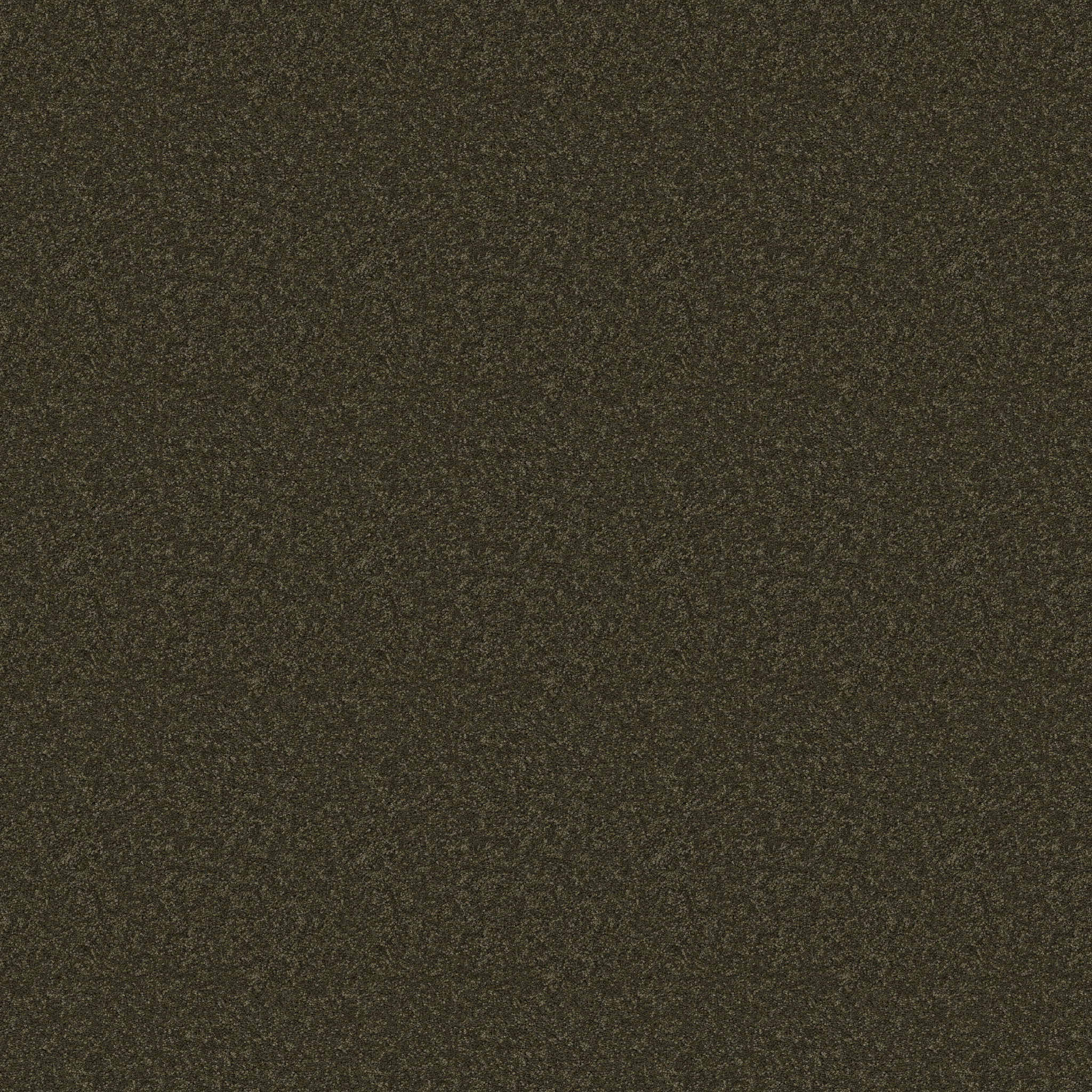 Blissful Beauty-Dark Olive-ZB269_00339