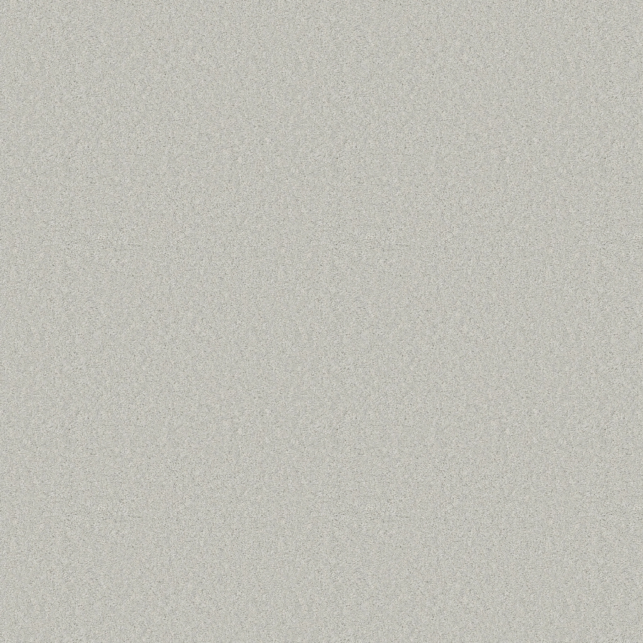 Blissful Beauty - Icy Morn - ZB269_00341