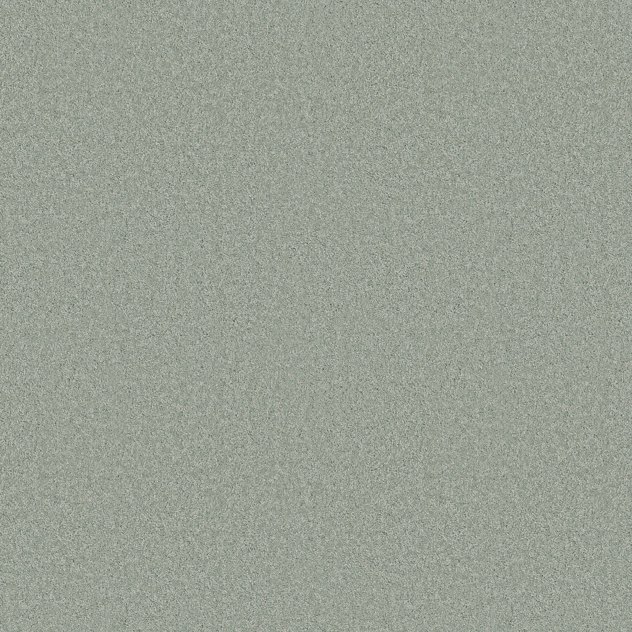 Blissful Beauty-Misty Jade-ZB269_00344