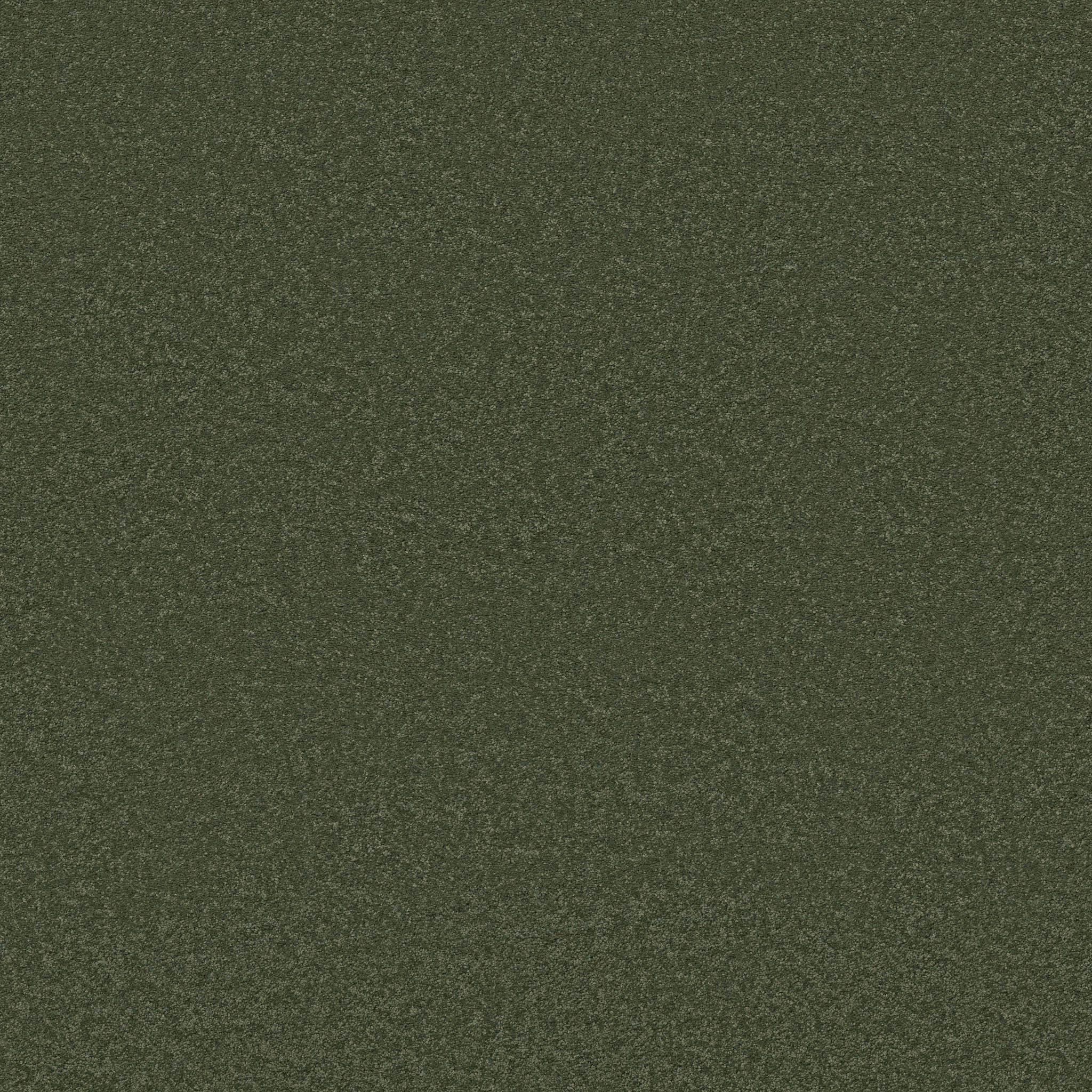 Blissful Beauty - Beryl - ZB269_00348