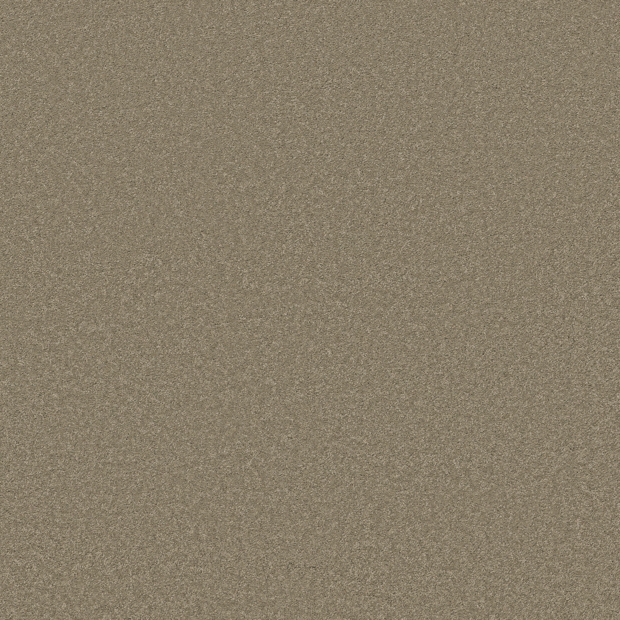 Blissful Beauty-Slate-ZB269_00355