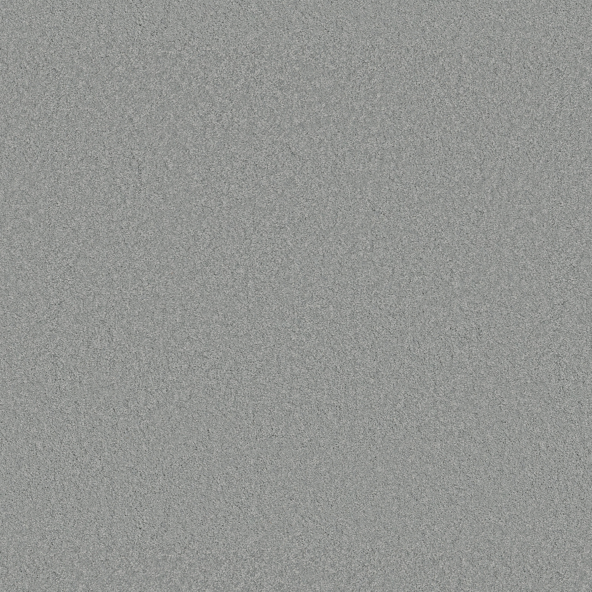 Blissful Beauty - Angel Falls - ZB269_00423