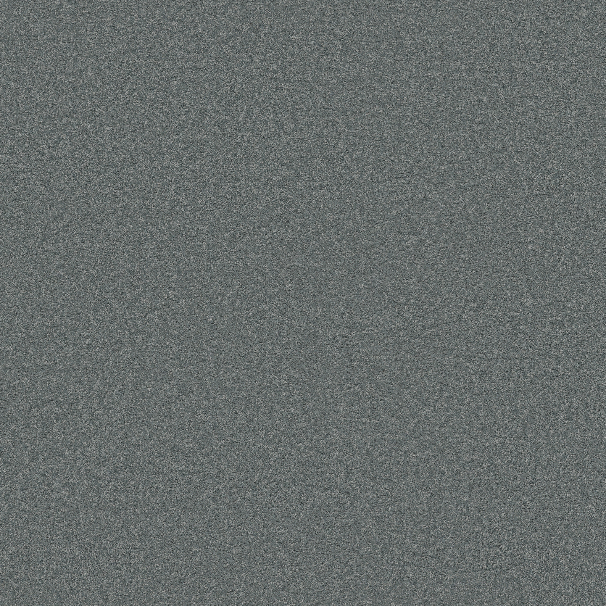 Blissful Beauty-Pearl Blue-ZB269_00446