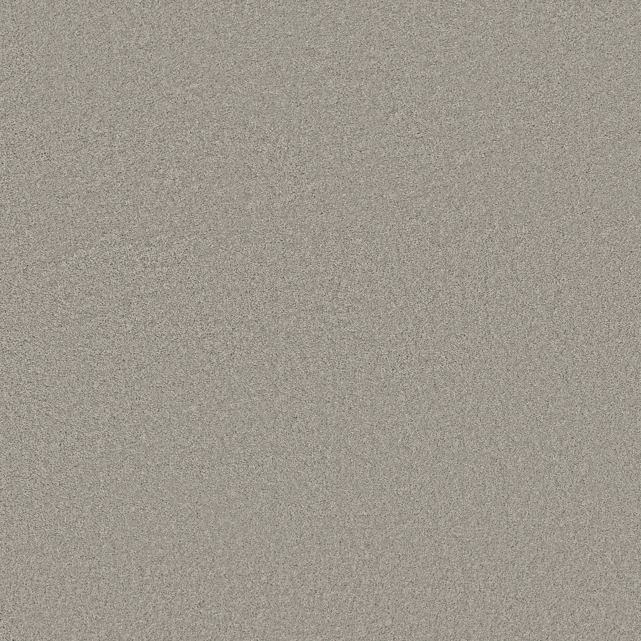 Blissful Beauty - Summer Rain - ZB269_00542