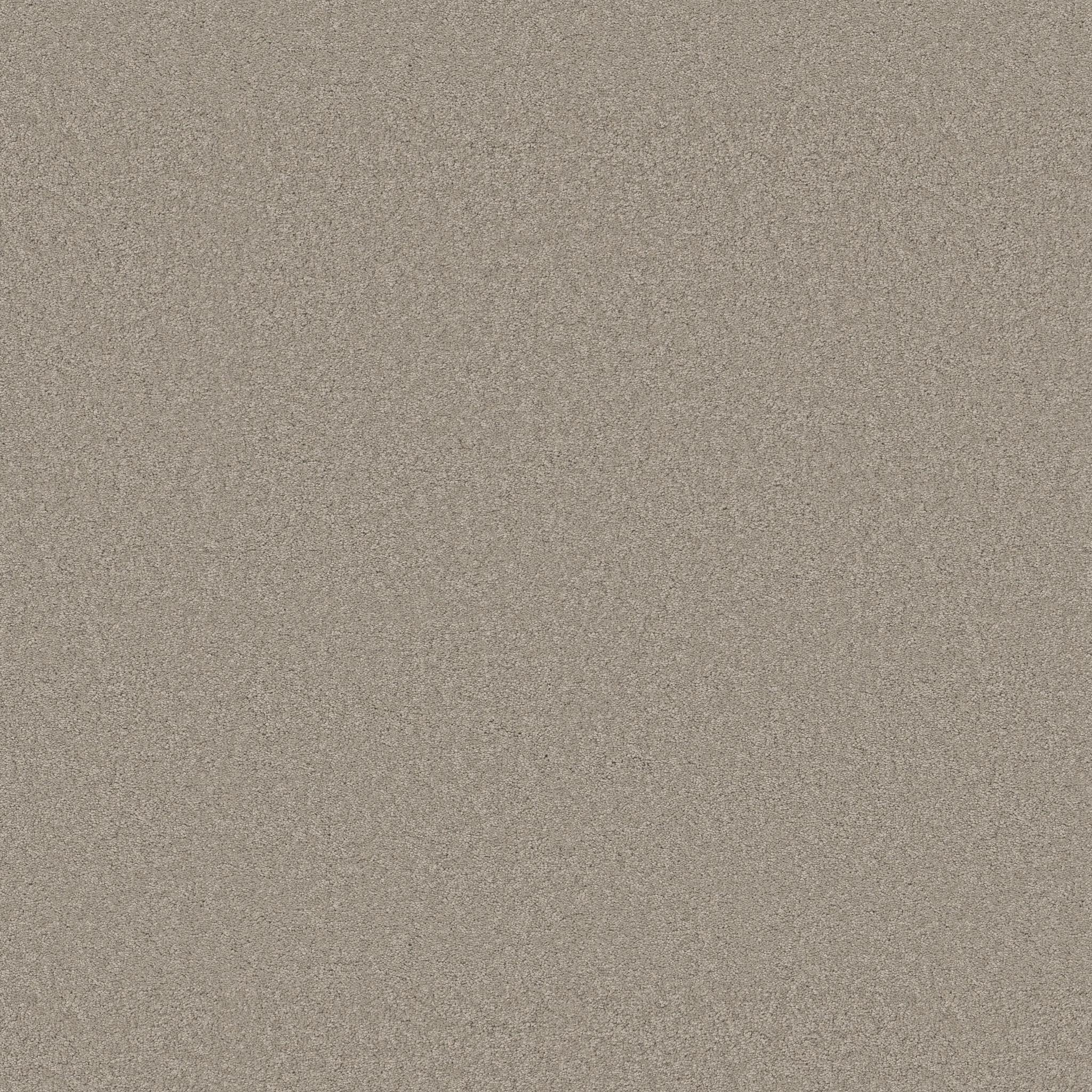 Blissful Beauty-String-ZB269_00552