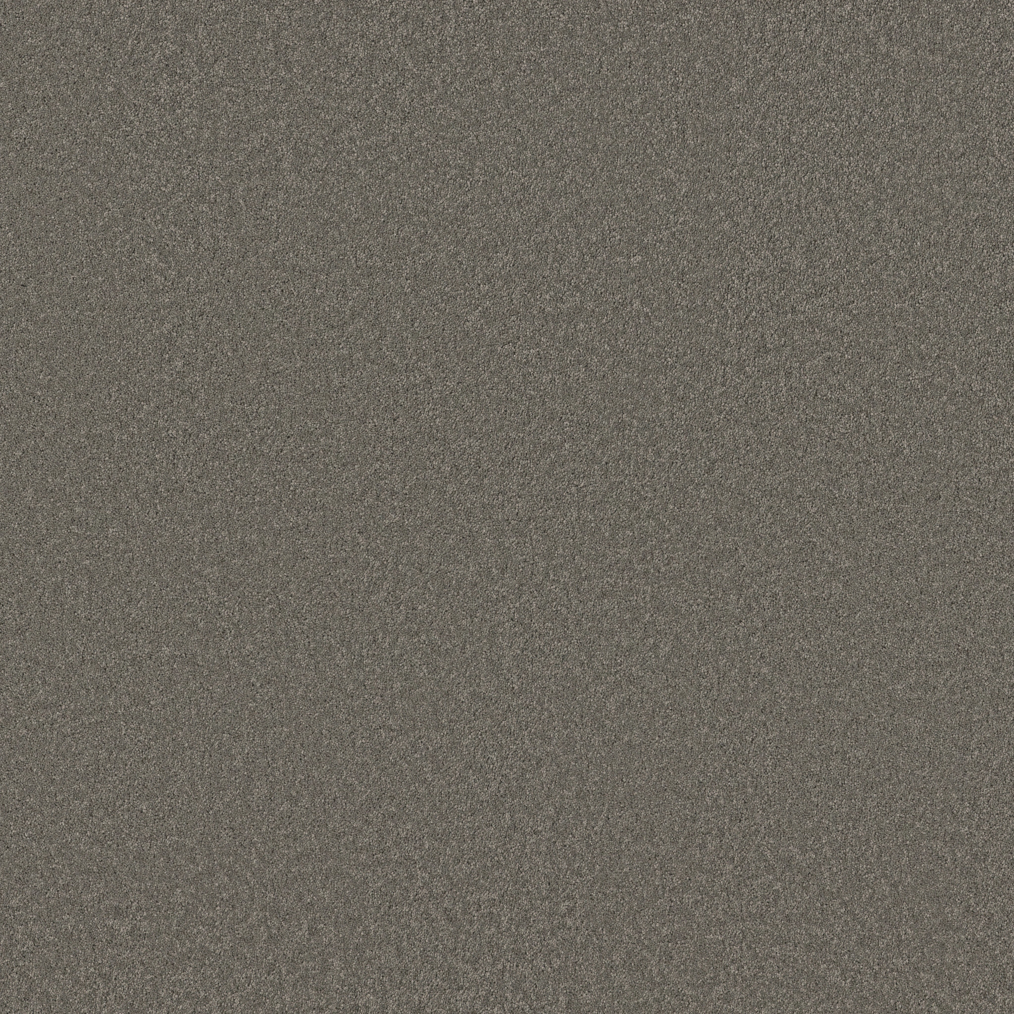 Blissful Beauty-Lunar Rock-ZB269_00555