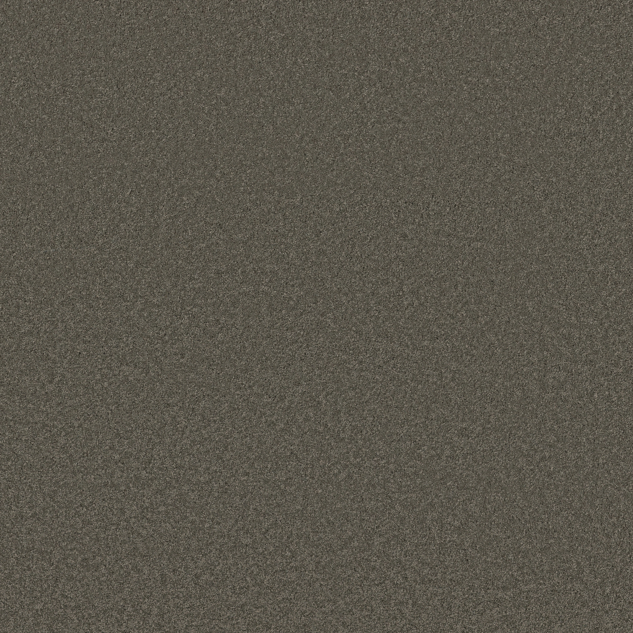 Blissful Beauty - Highrise - ZB269_00558