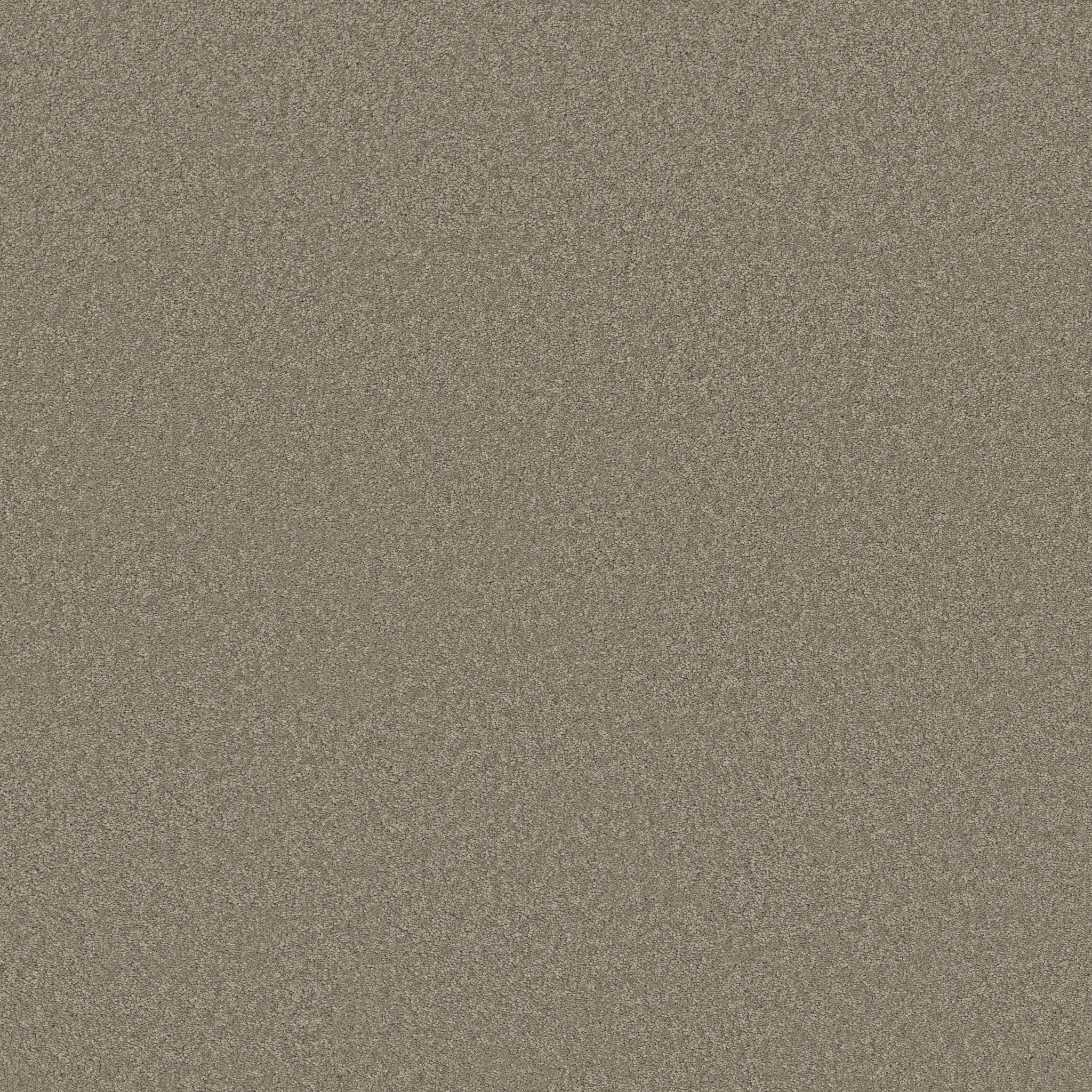 Blissful Beauty-Atmosphere-ZB269_00573