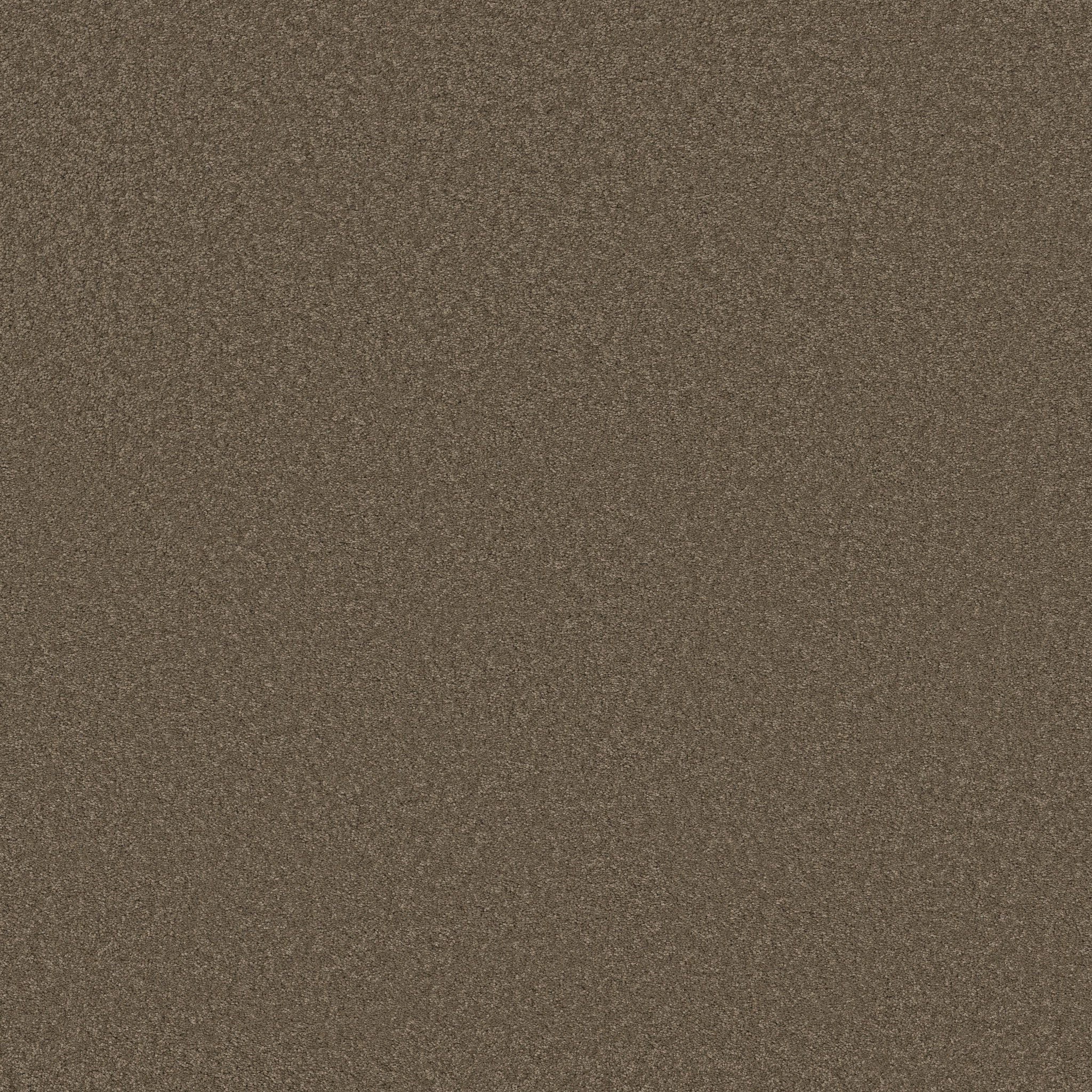 Blissful Beauty-Moonbeam-ZB269_00578