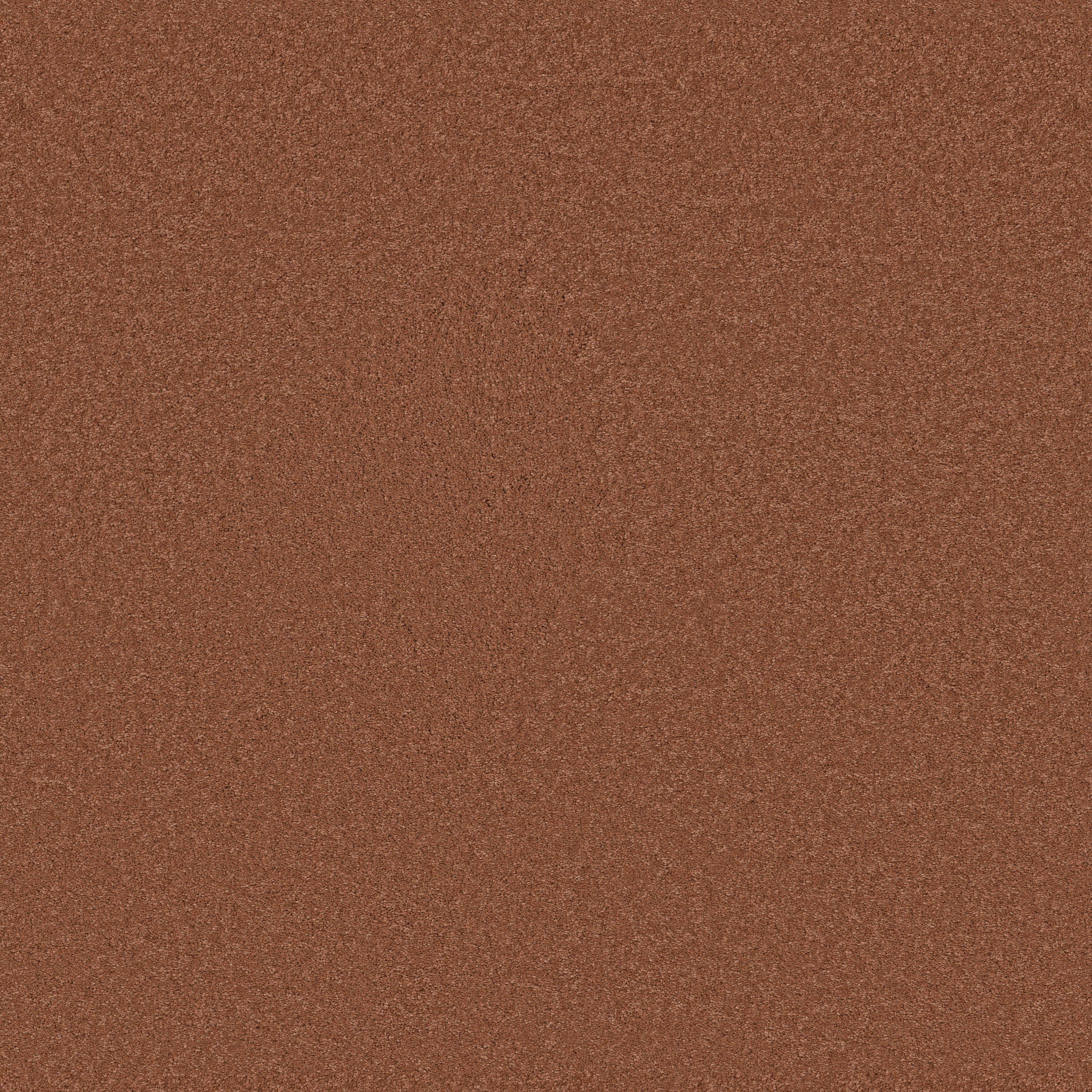 Blissful Beauty-Clay-ZB269_00667