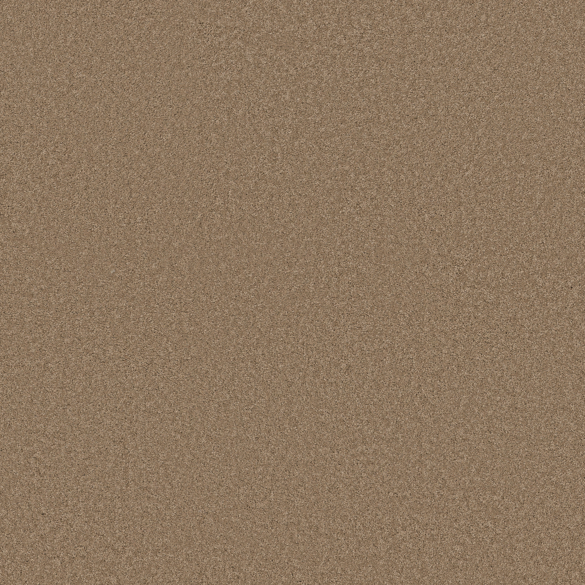 Blissful Beauty-Prairie-ZB269_00727