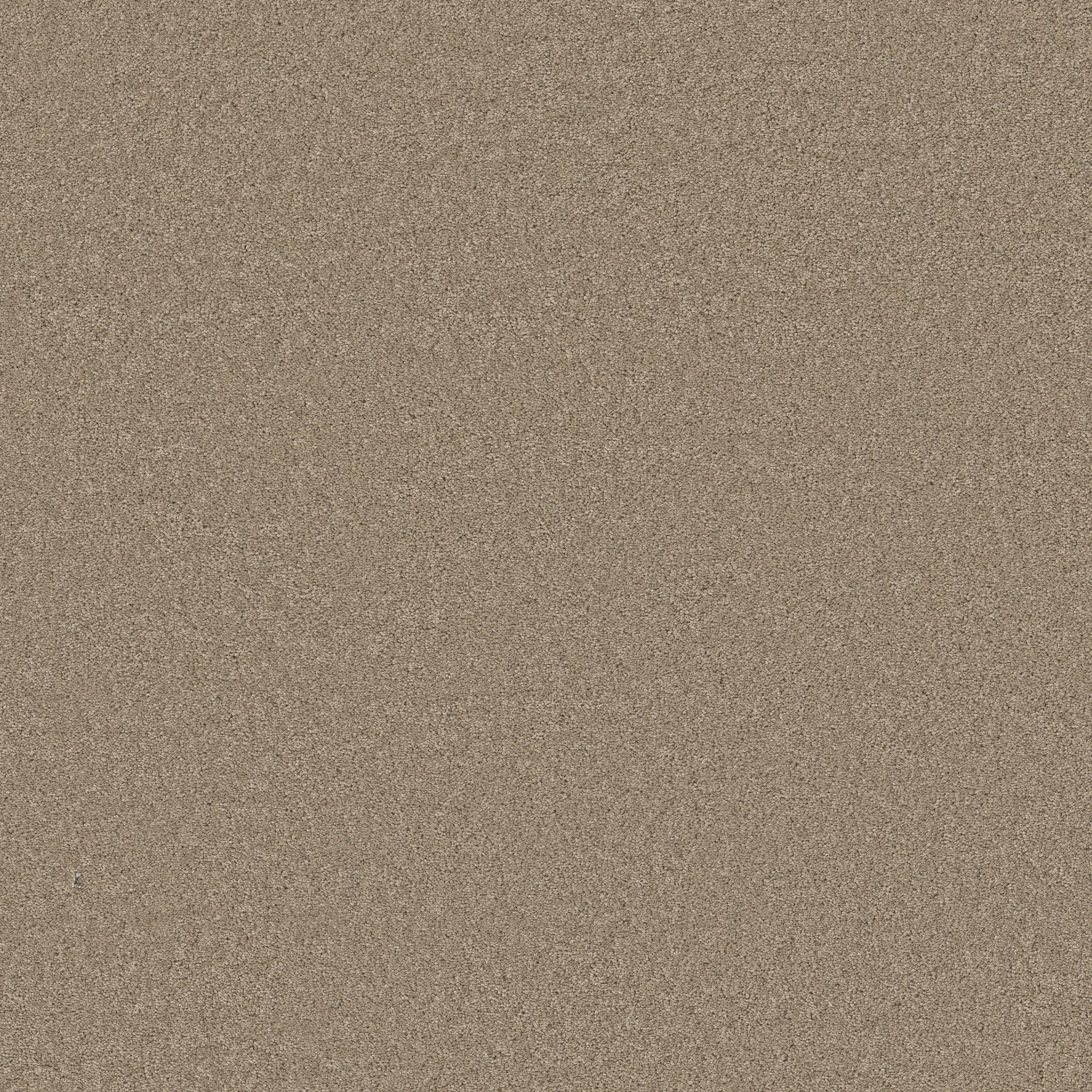 Blissful Beauty-Tuffet-ZB269_00753