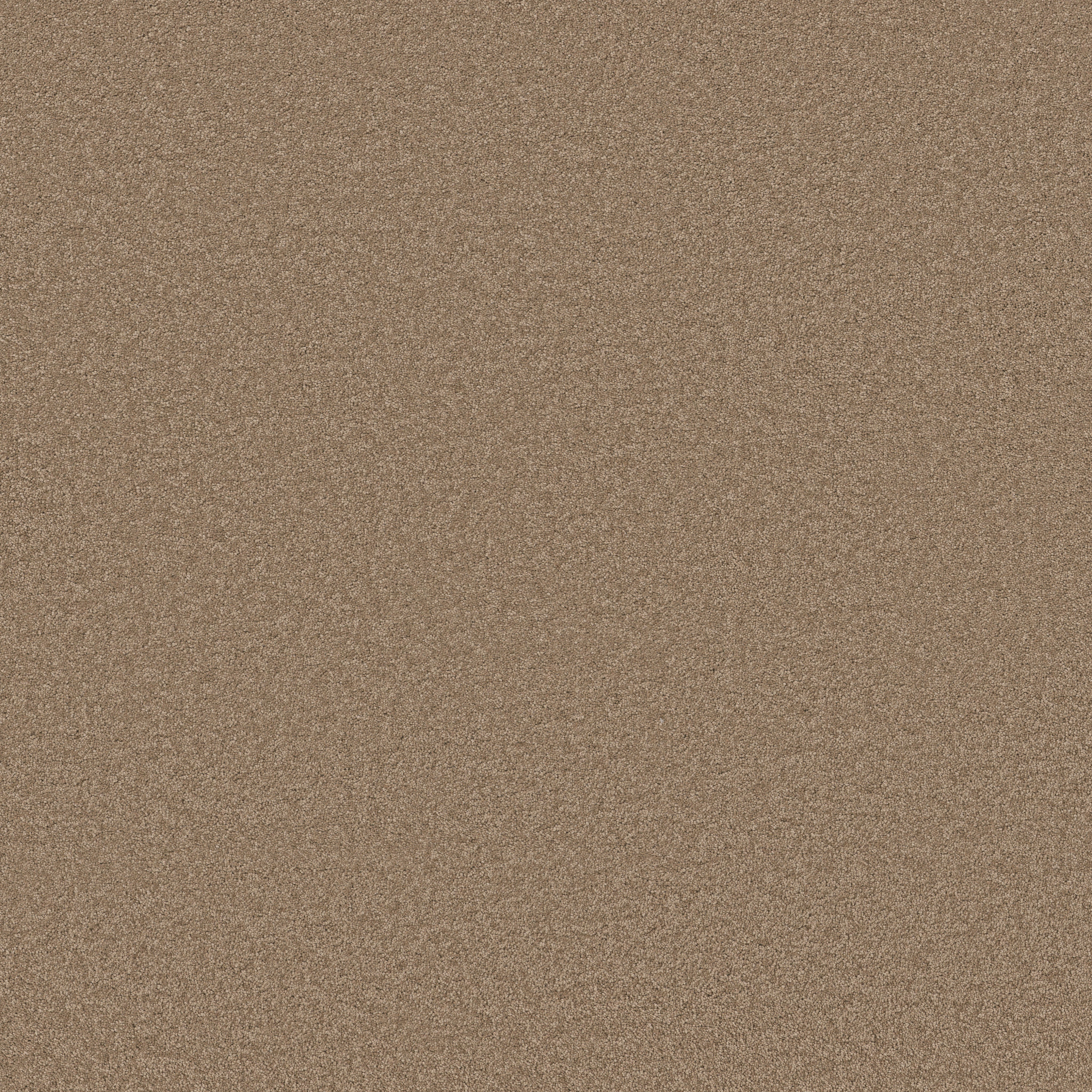 Blissful Beauty-Latte-ZB269_00755