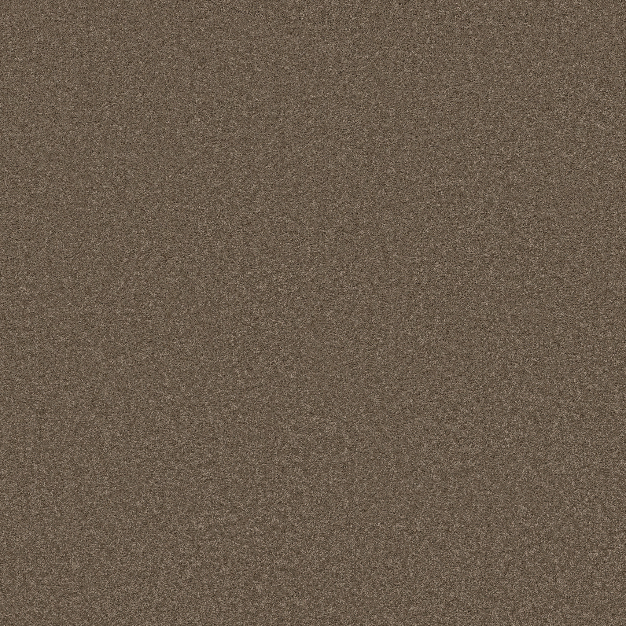 Blissful Beauty-Carafe-ZB269_00758