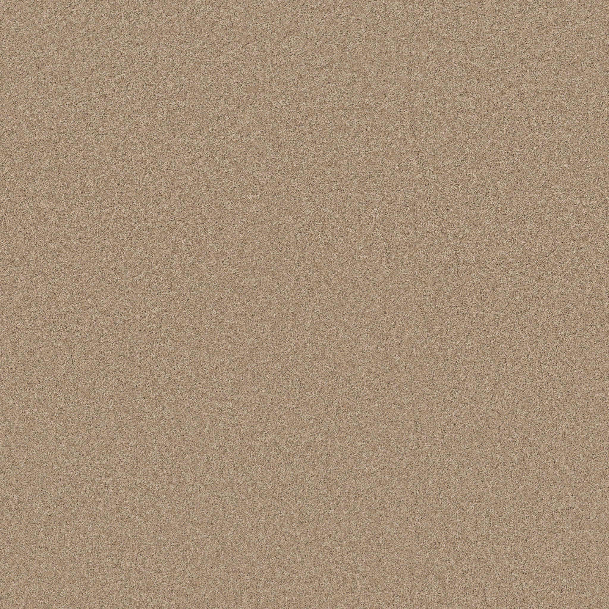 Blissful Beauty-Warm Sand-ZB269_00764