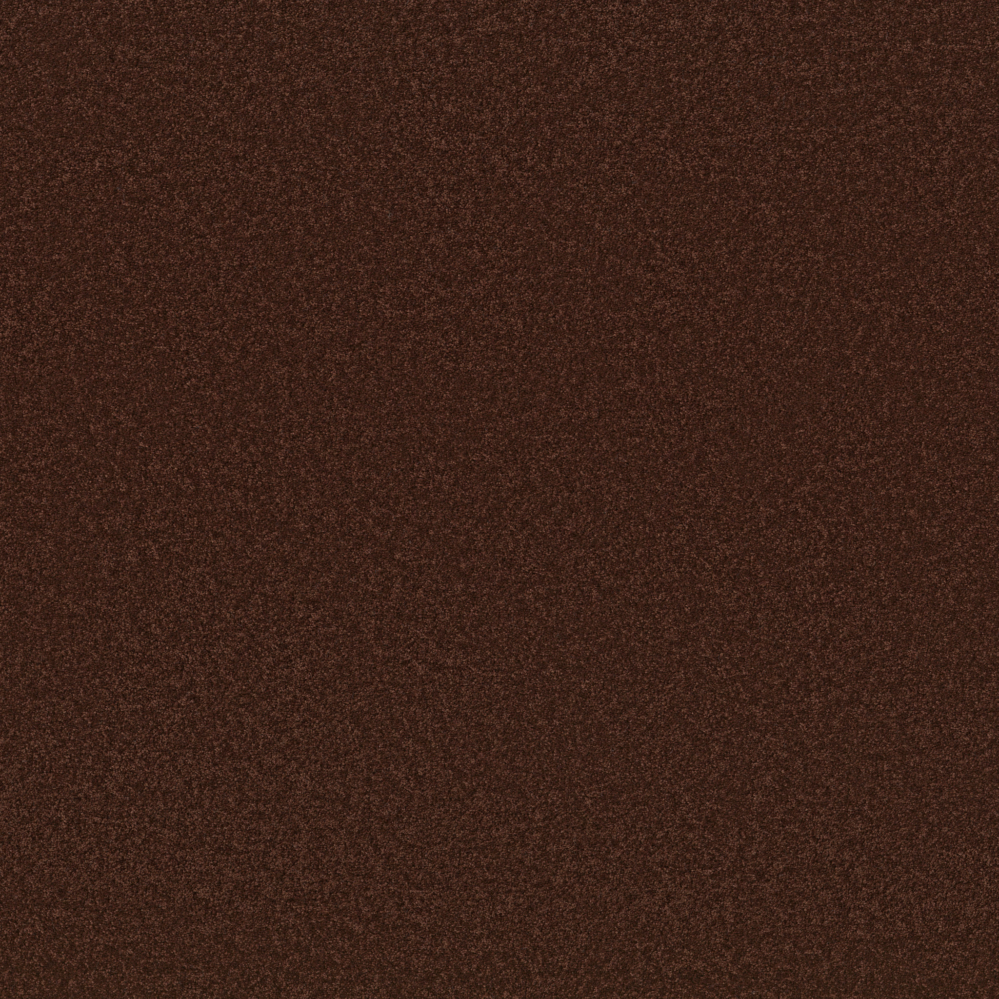 Blissful Beauty-Cinnabar-ZB269_00889