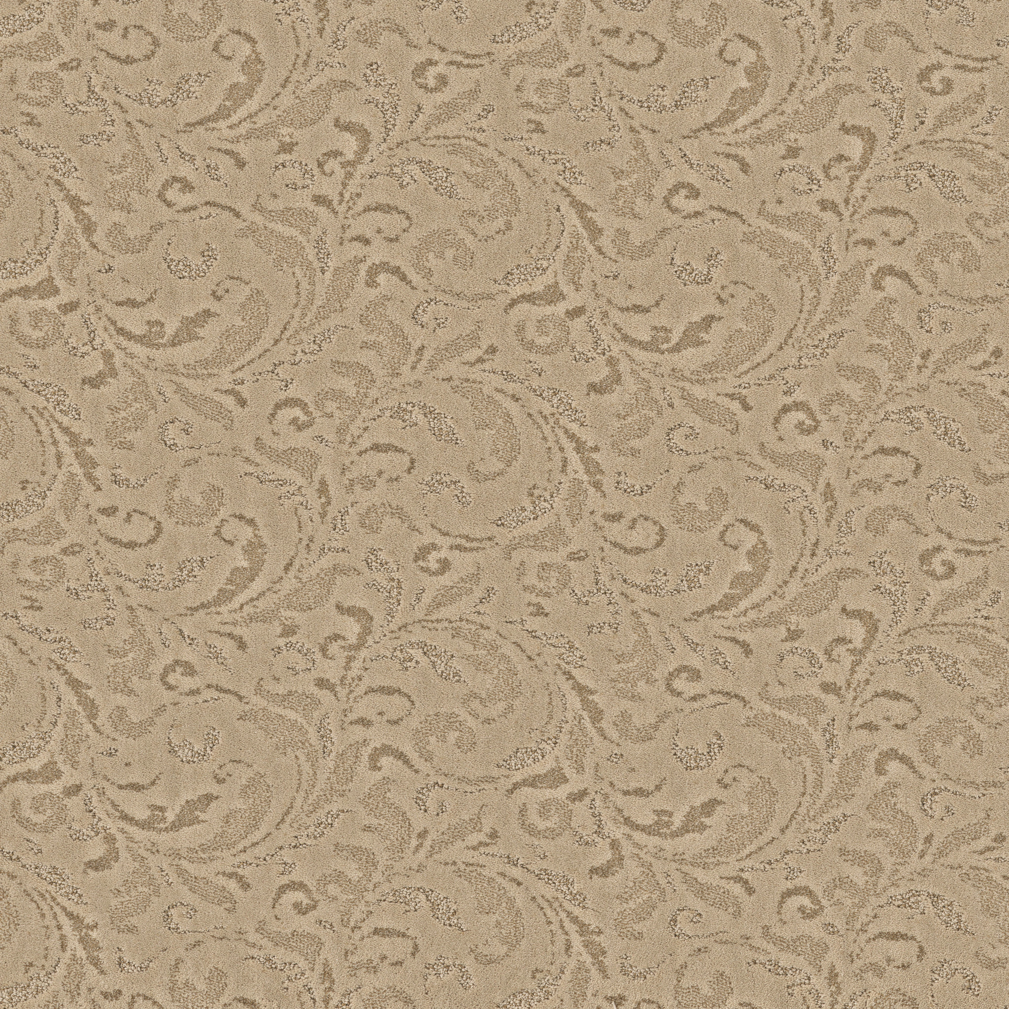 Beach Grass