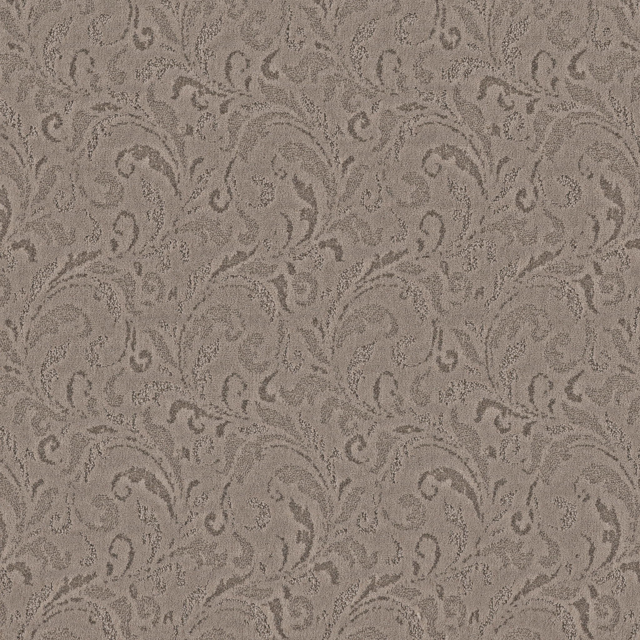 Toasty Gray