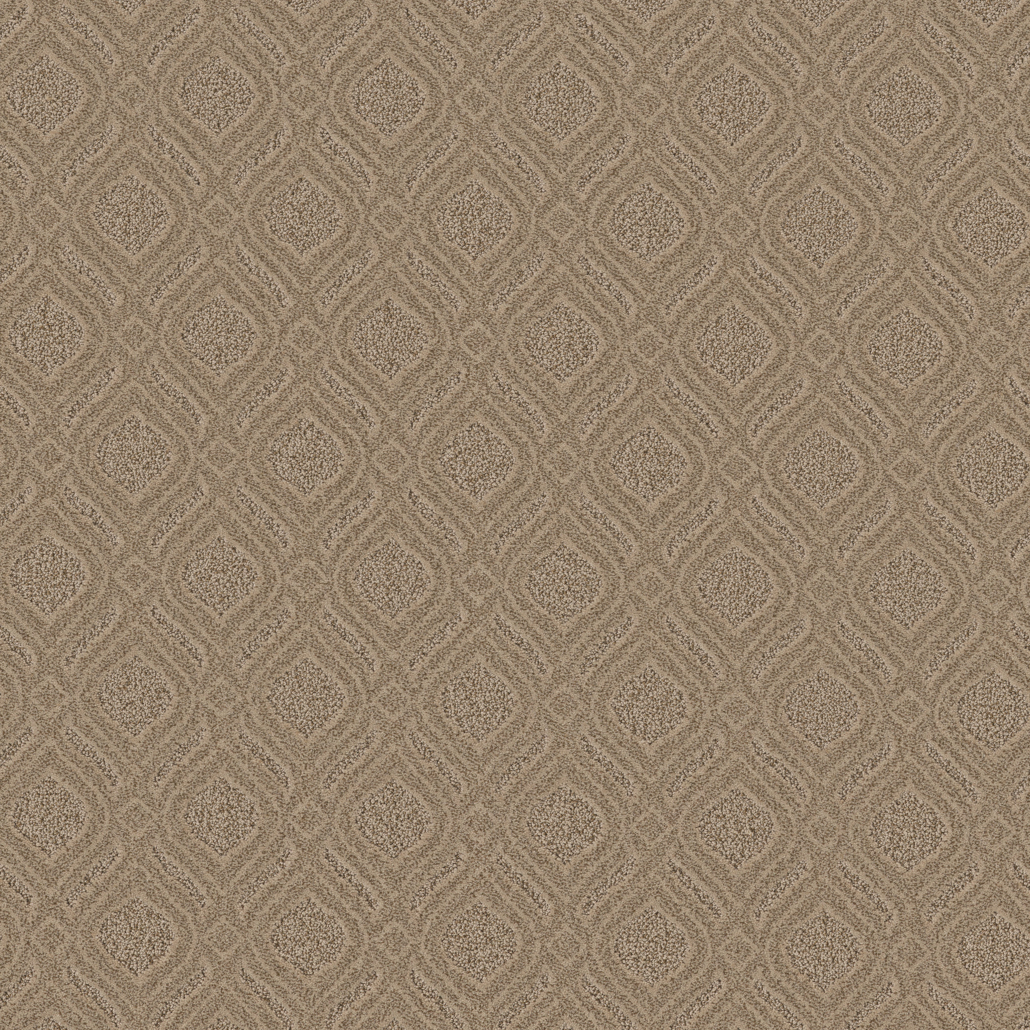 Marvelous-Windswept-ZB273_00115