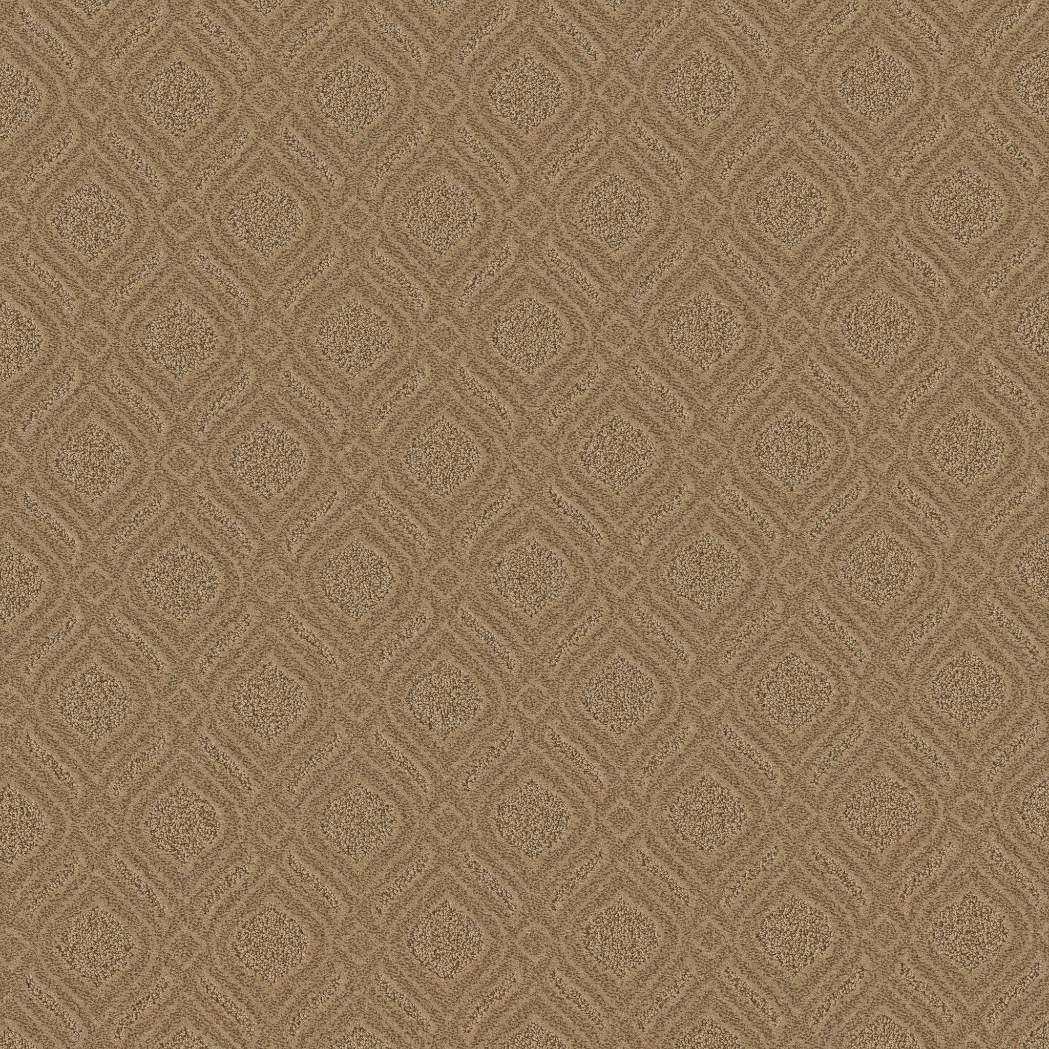 Marvelous-Summerwood-ZB273_00225