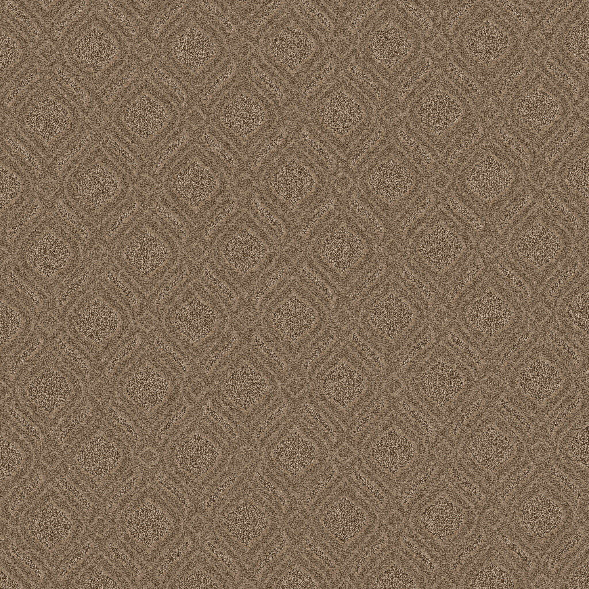 Marvelous-Open Canyon-ZB273_00275