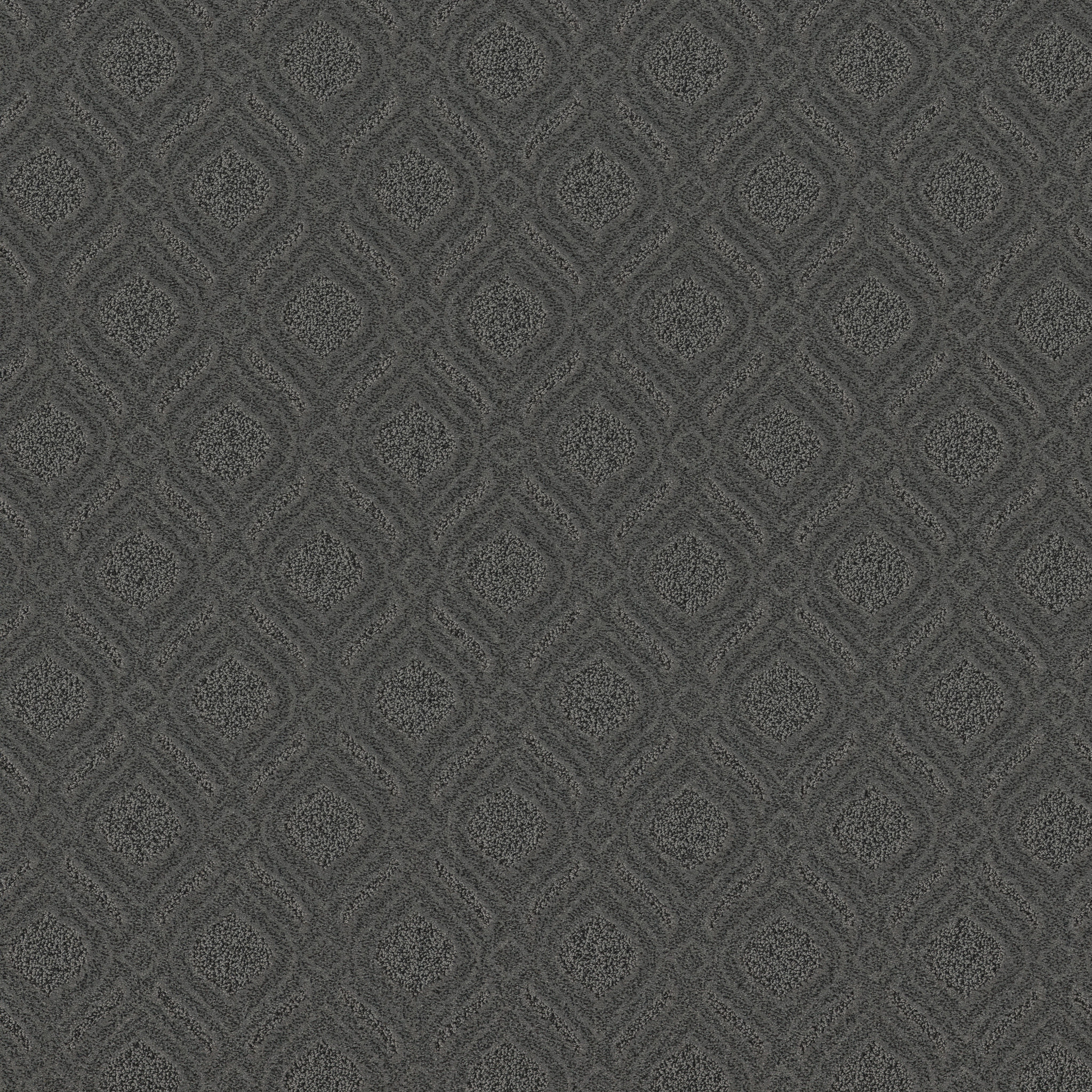 Marvelous-In The Shade-ZB273_00557