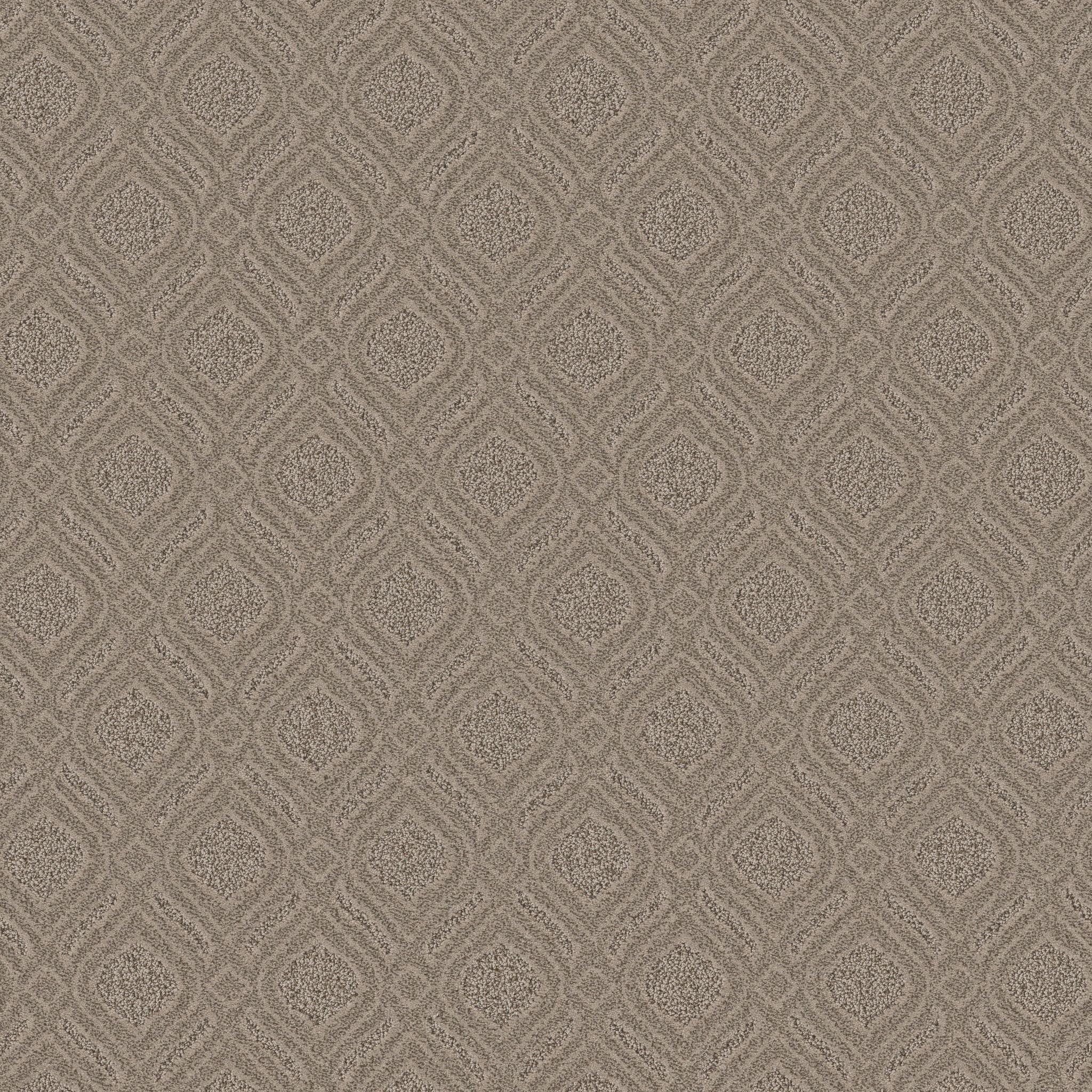 Marvelous-Toasty Gray-ZB273_00573