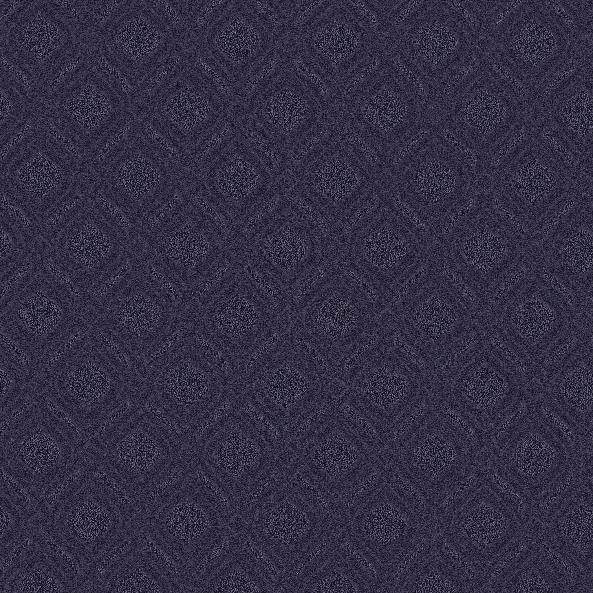 Marvelous - Dark Lilac - ZB273_00997