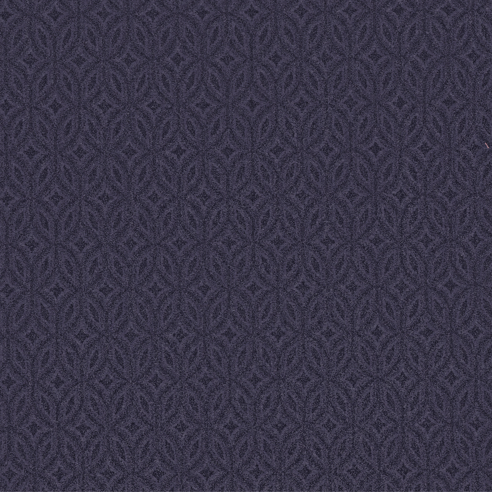 Momentous - Dark Lilac - ZB274_00997