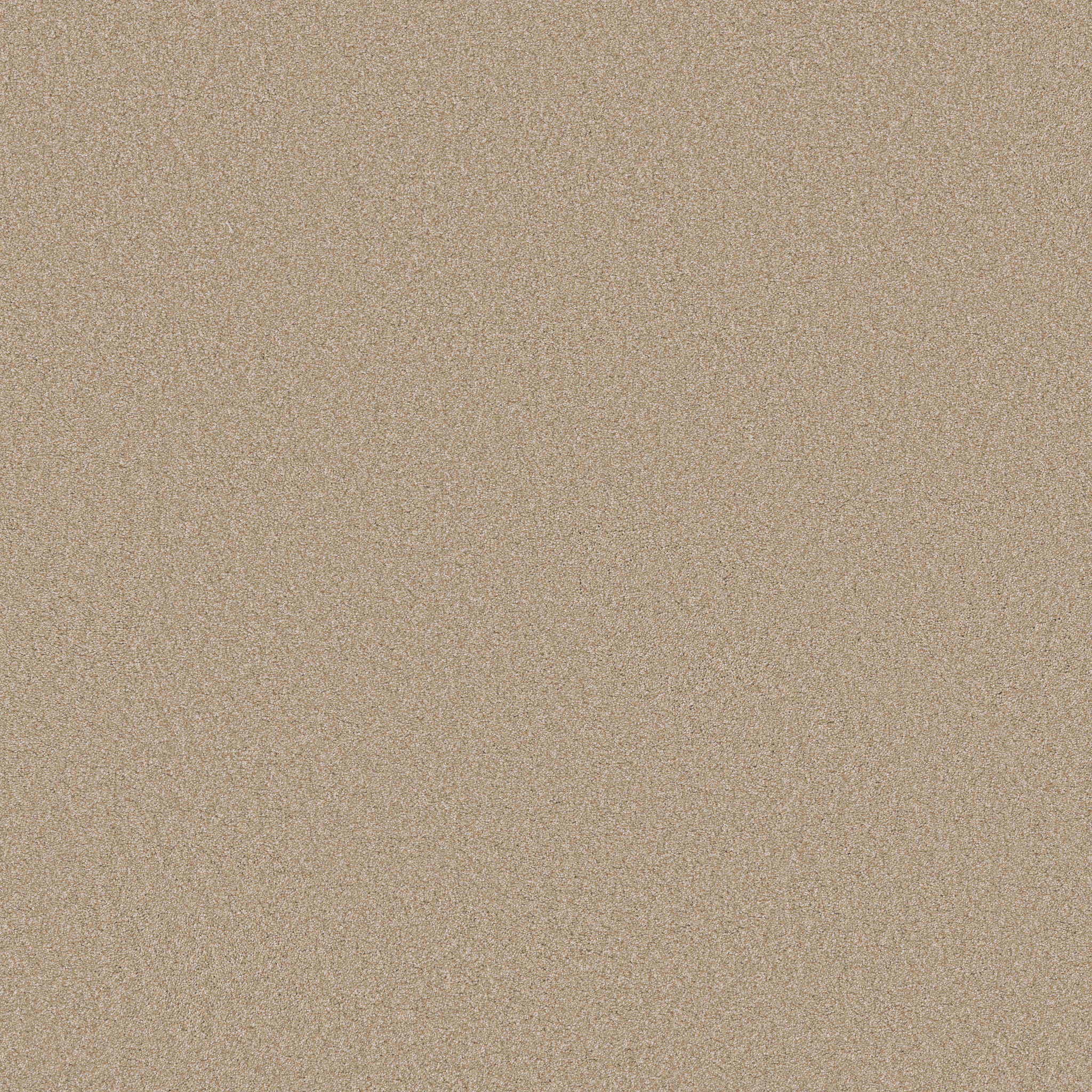 cypress_park aura carpets zb27700121 Shaw Builder Flooring