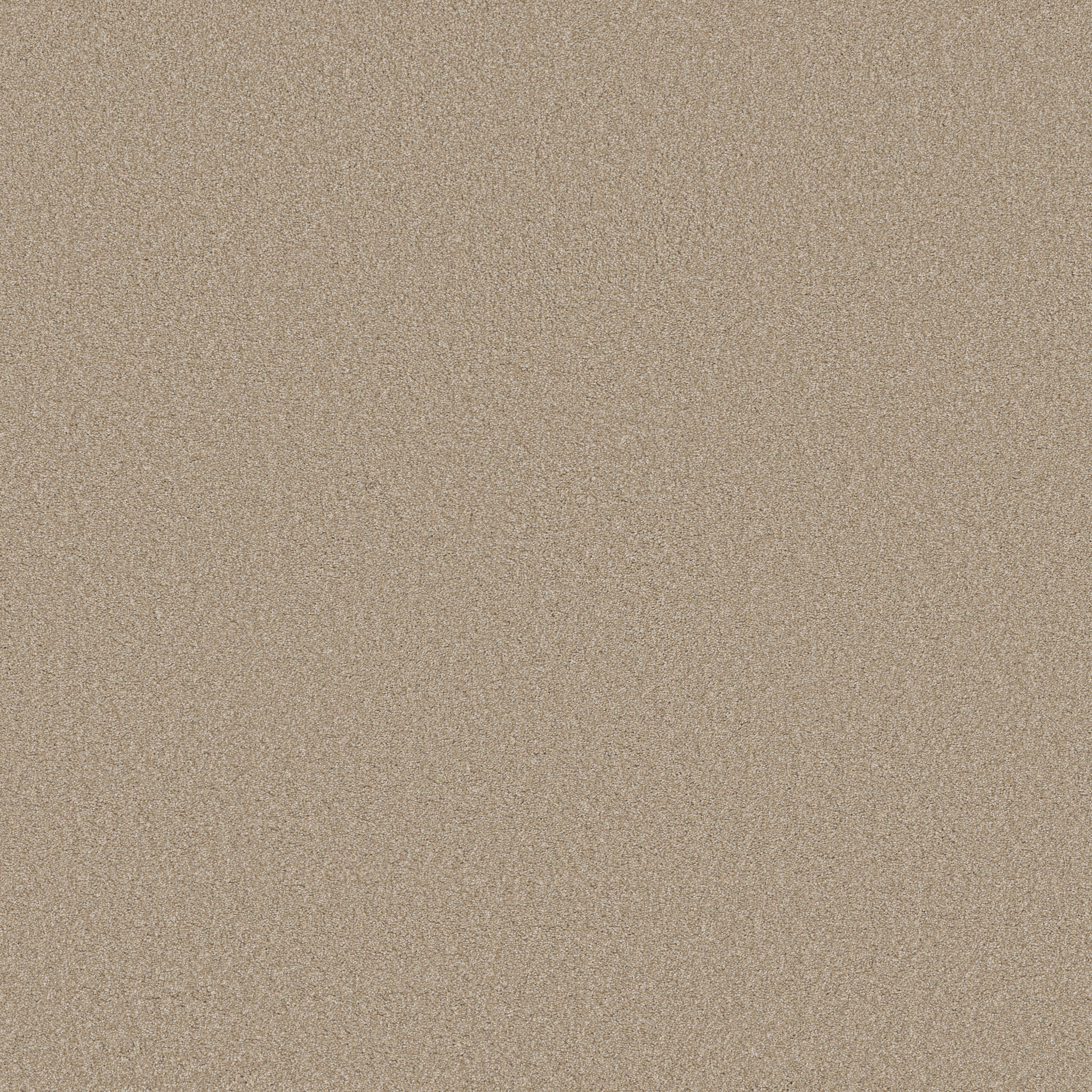 cypress park ecru carpets ZB277_00170 Shaw Builder Flooring