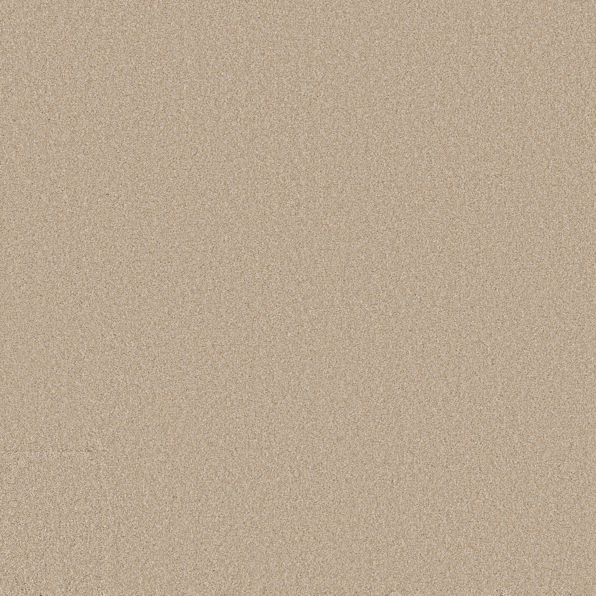 cypress park tinsel carpets ZB277_00272 Shaw Builder Flooring