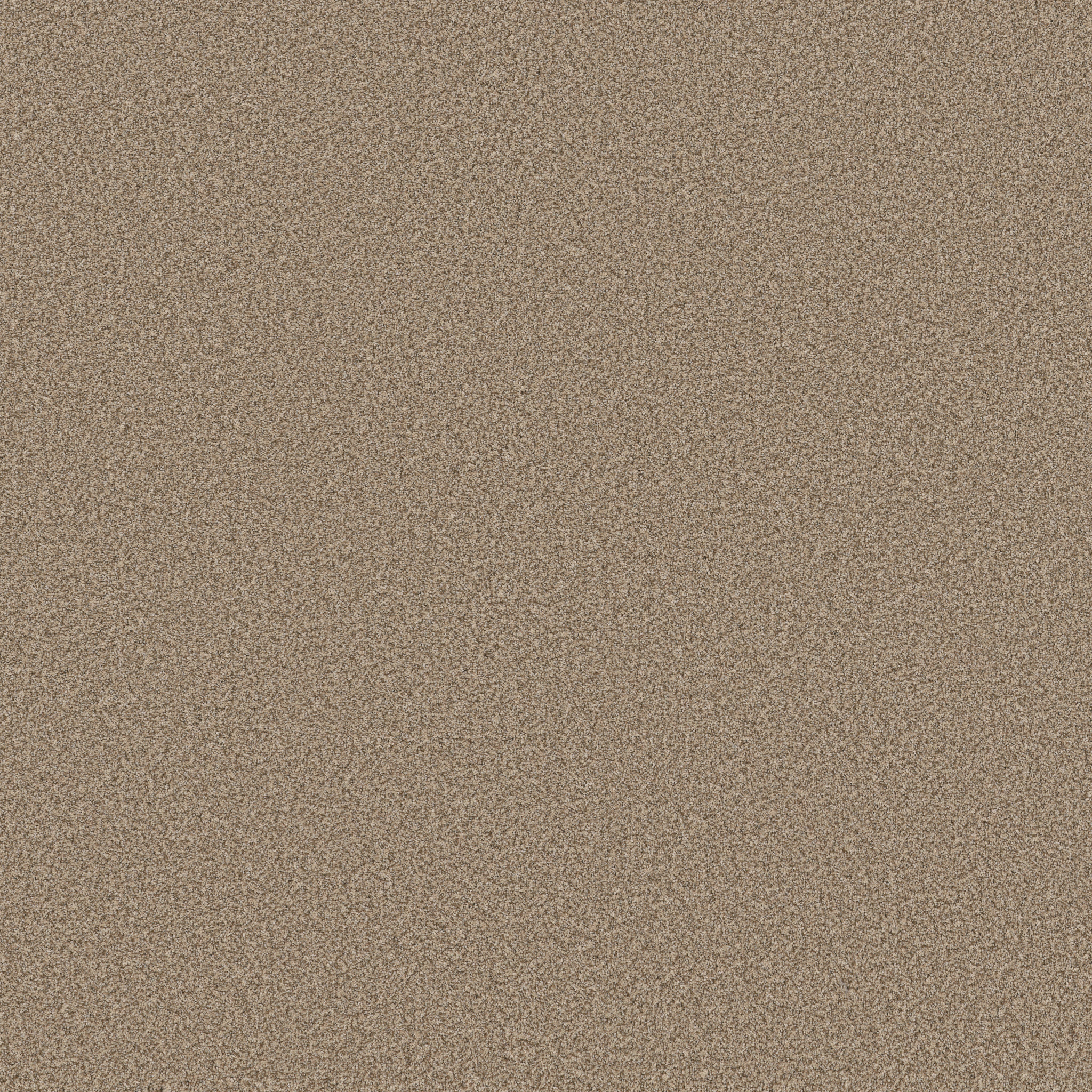 Fair Winds ZB279 00173 | Shaw Builder Flooring