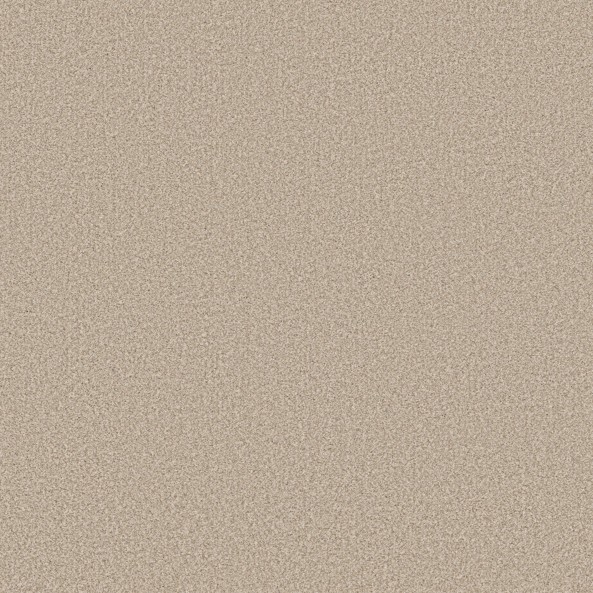 Fair Winds ZB279 00222 | Shaw Builder Flooring