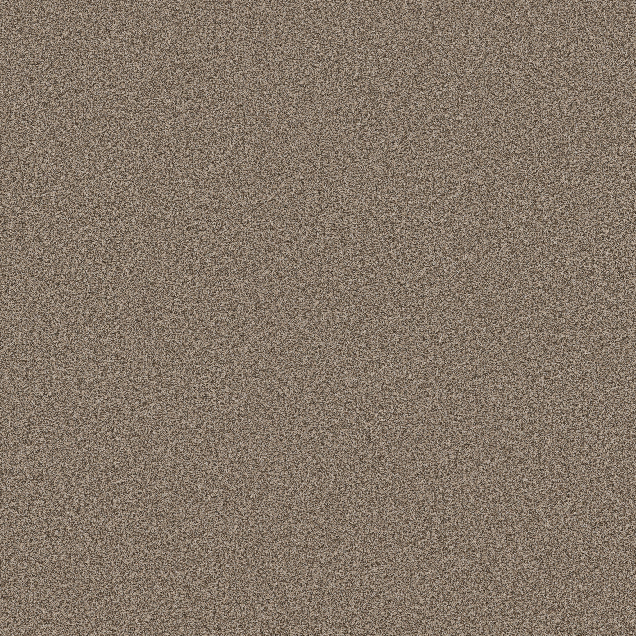 Fair Winds ZB279 00753 | Shaw Builder Flooring