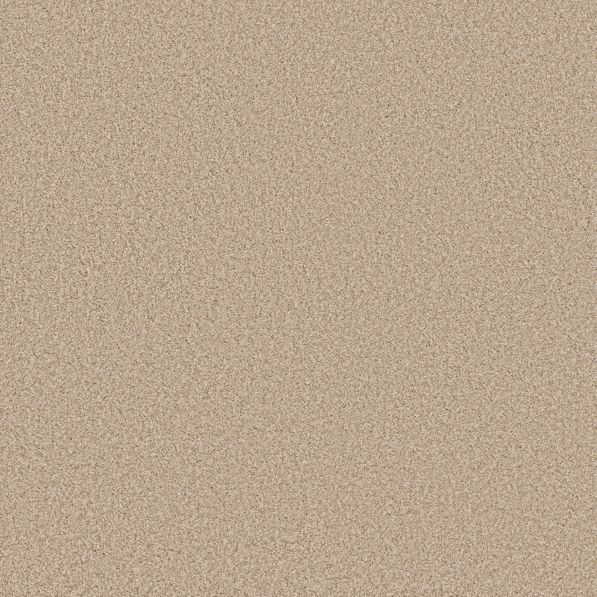 Avant-Garde ZB280 00161 | Shaw Builder Flooring
