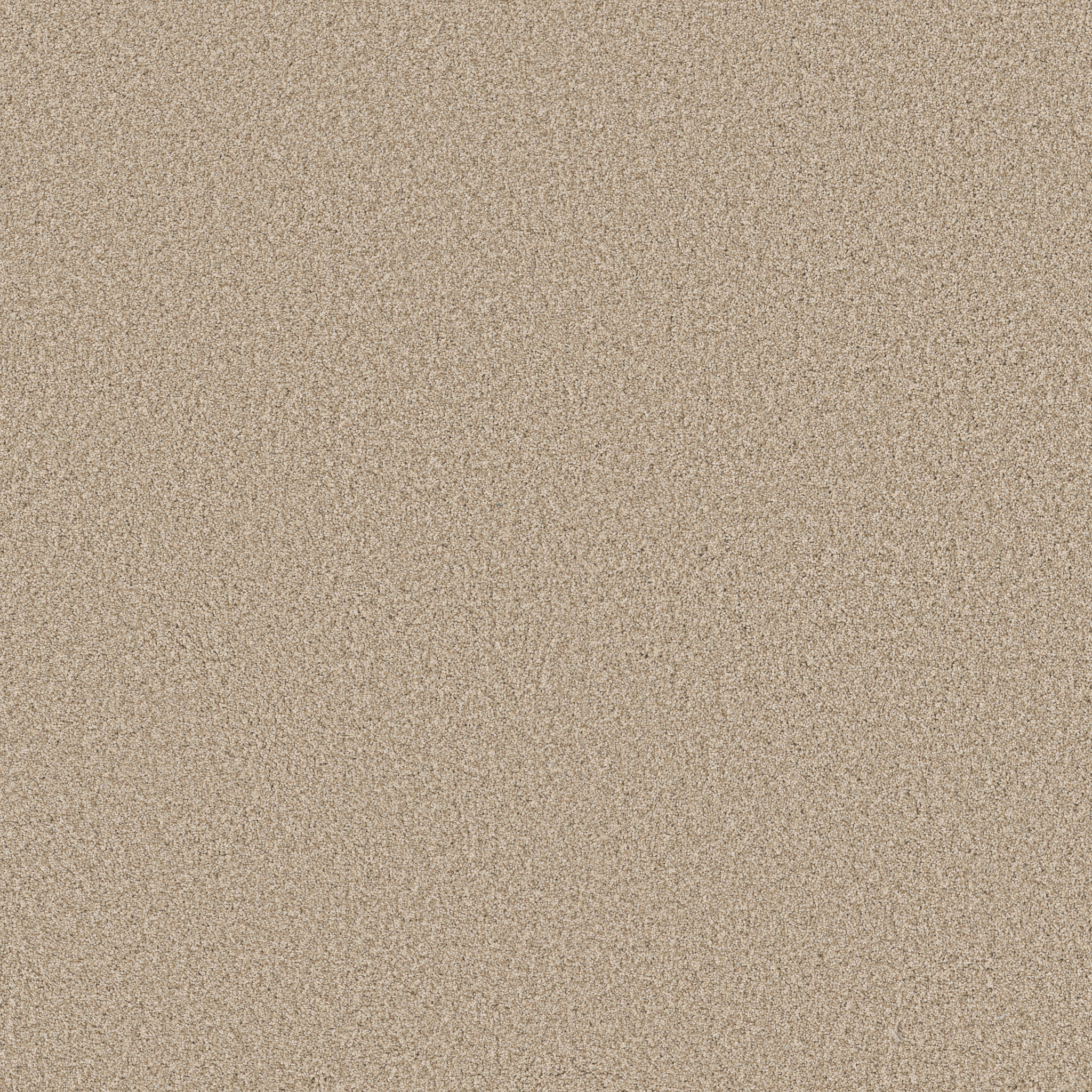 Avant-Garde ZB280 00171 | Shaw Builder Flooring