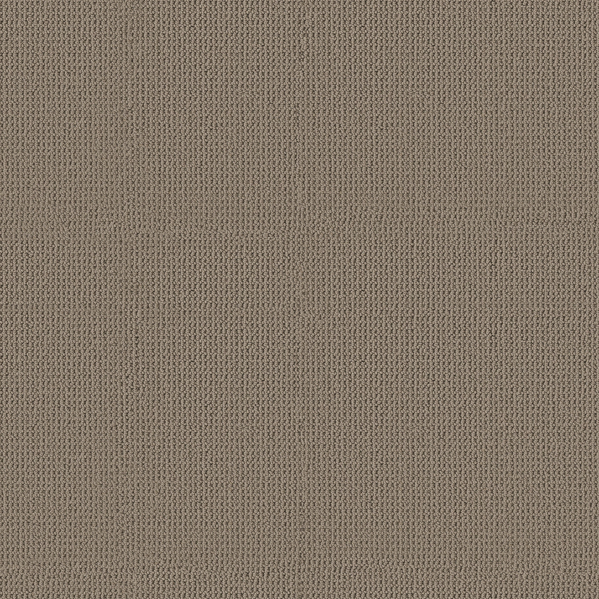 Taupe Gray