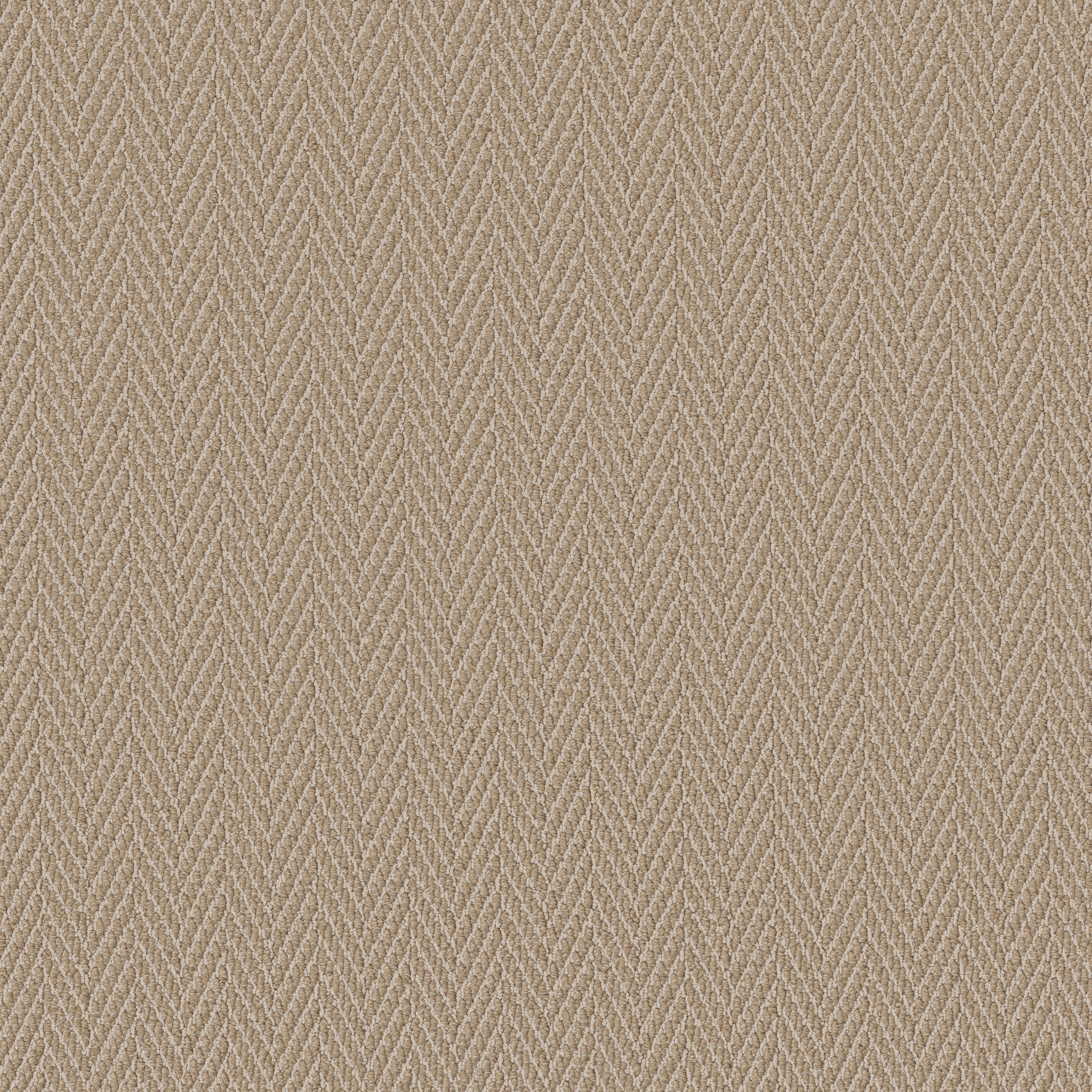 Always Yours - Cork - ZB289_00273