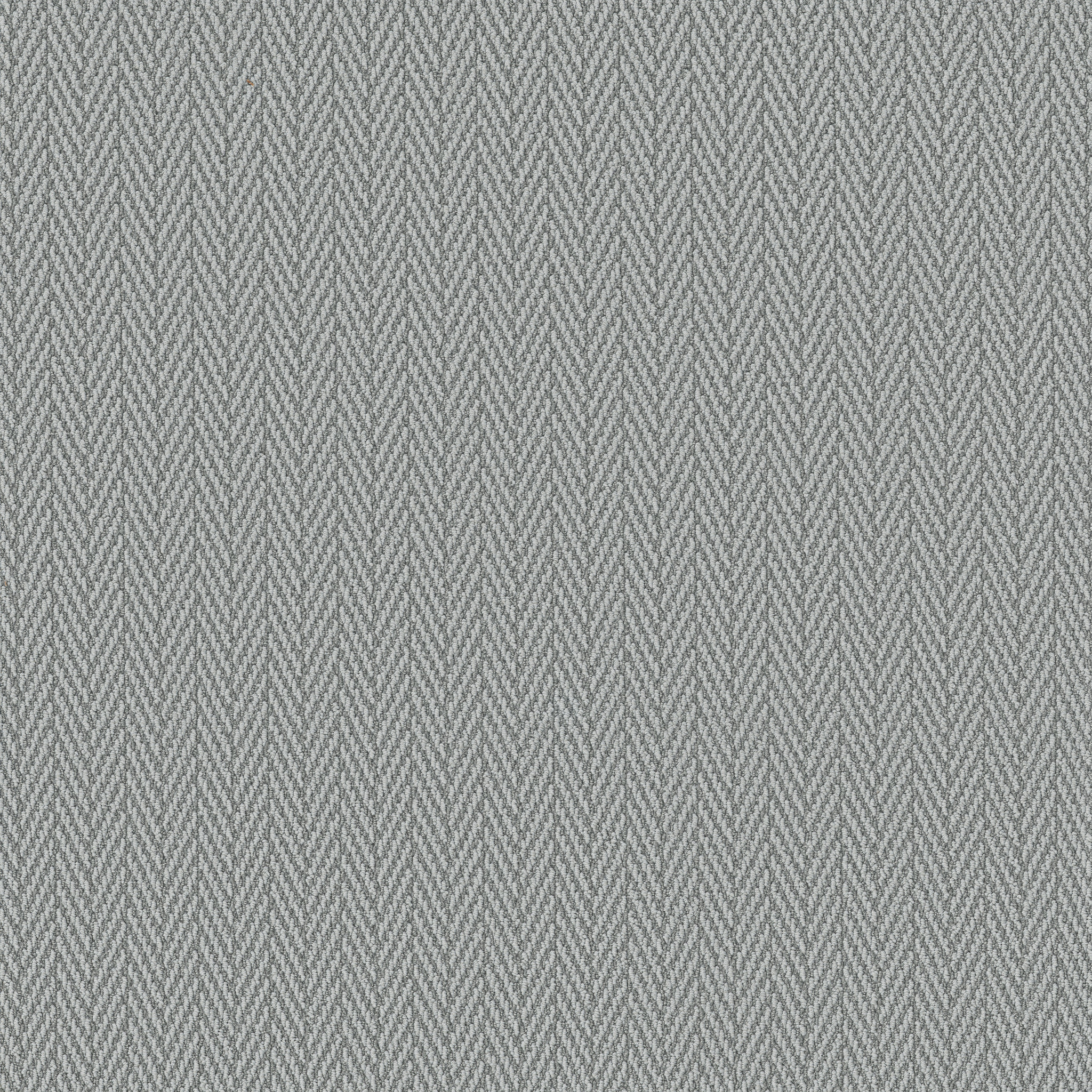 Always Yours-Graceful-ZB289_00345