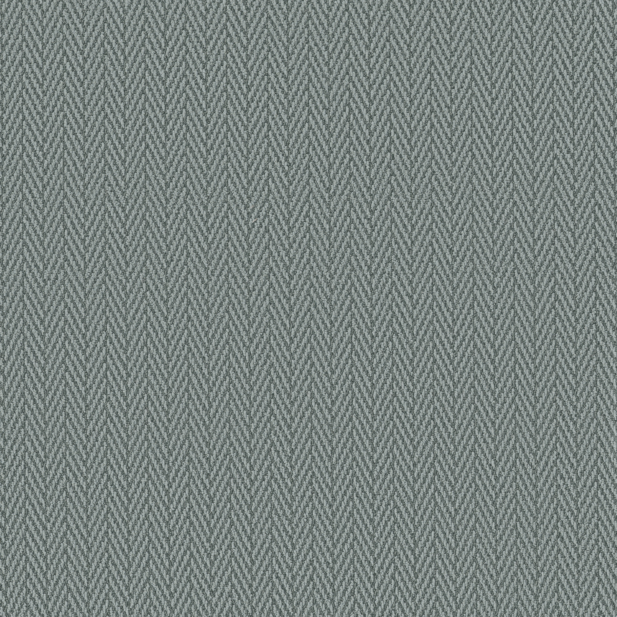 Always Yours - Blue Fern - ZB289_00348