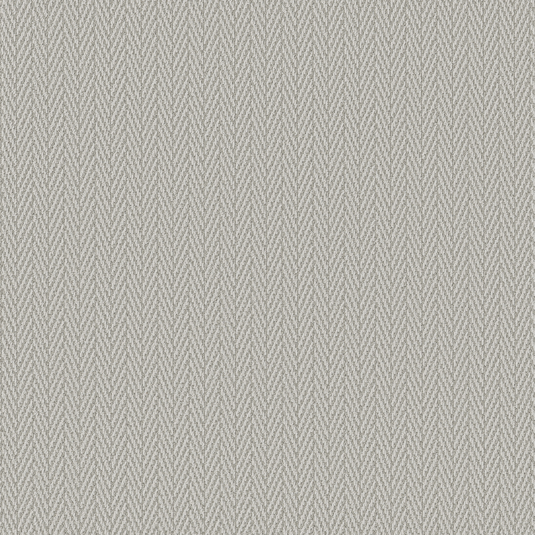 Always Yours - Blustery - ZB289_00352