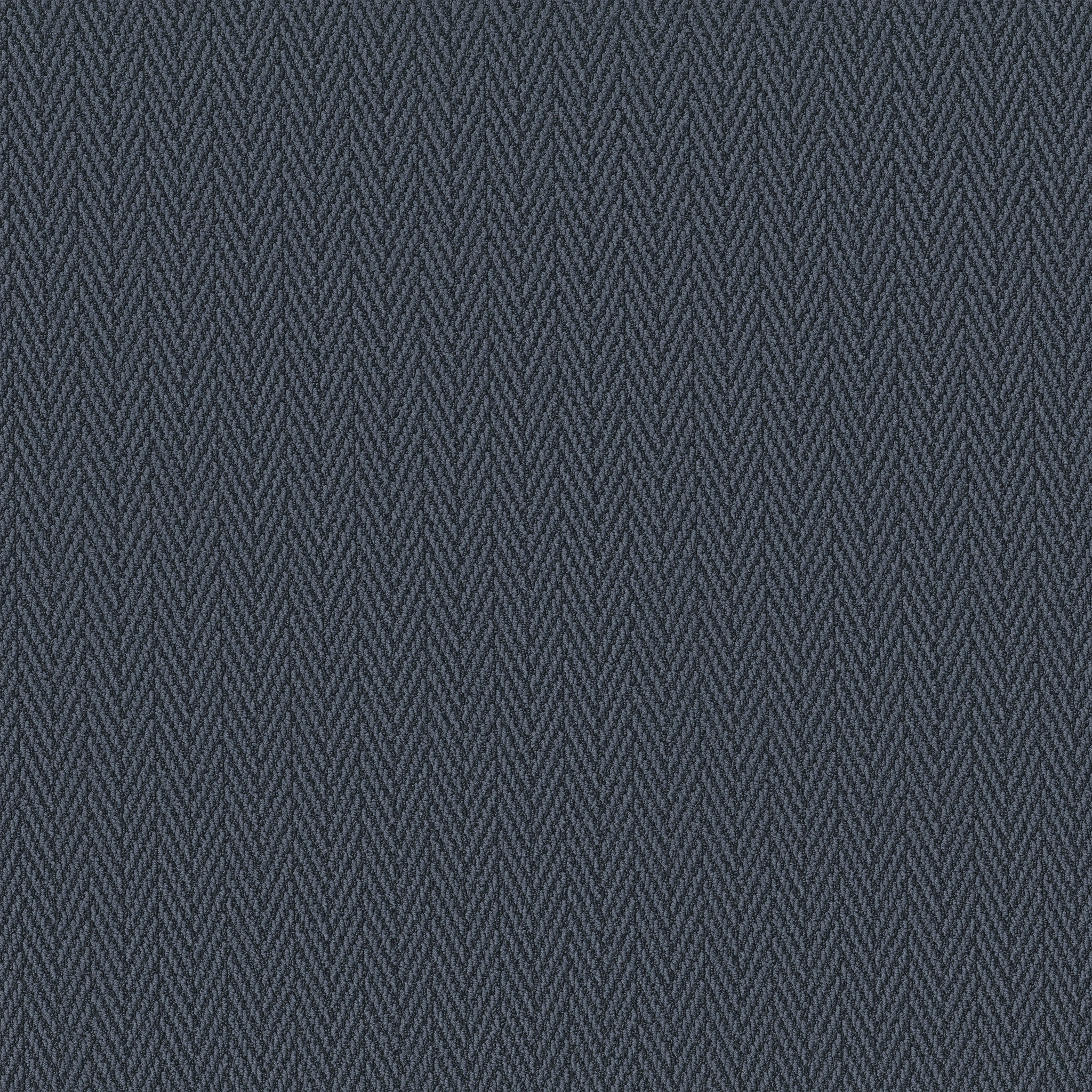 Always Yours-Harbor-ZB289_00448