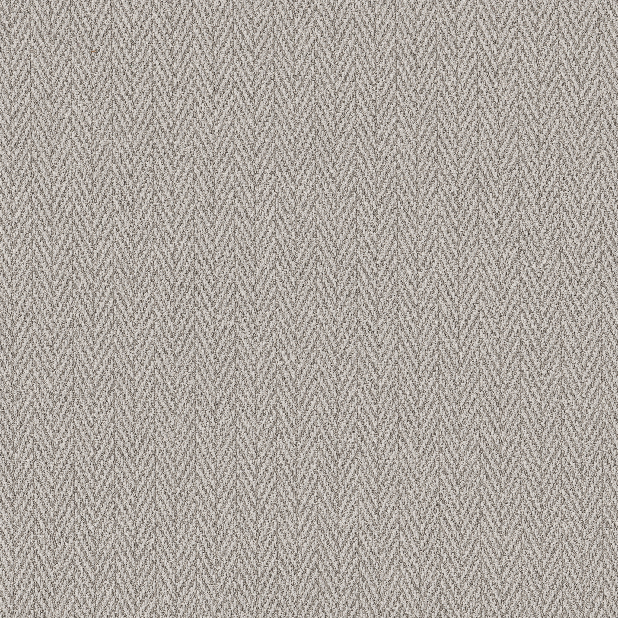 Always Yours - Foggy - ZB289_00542