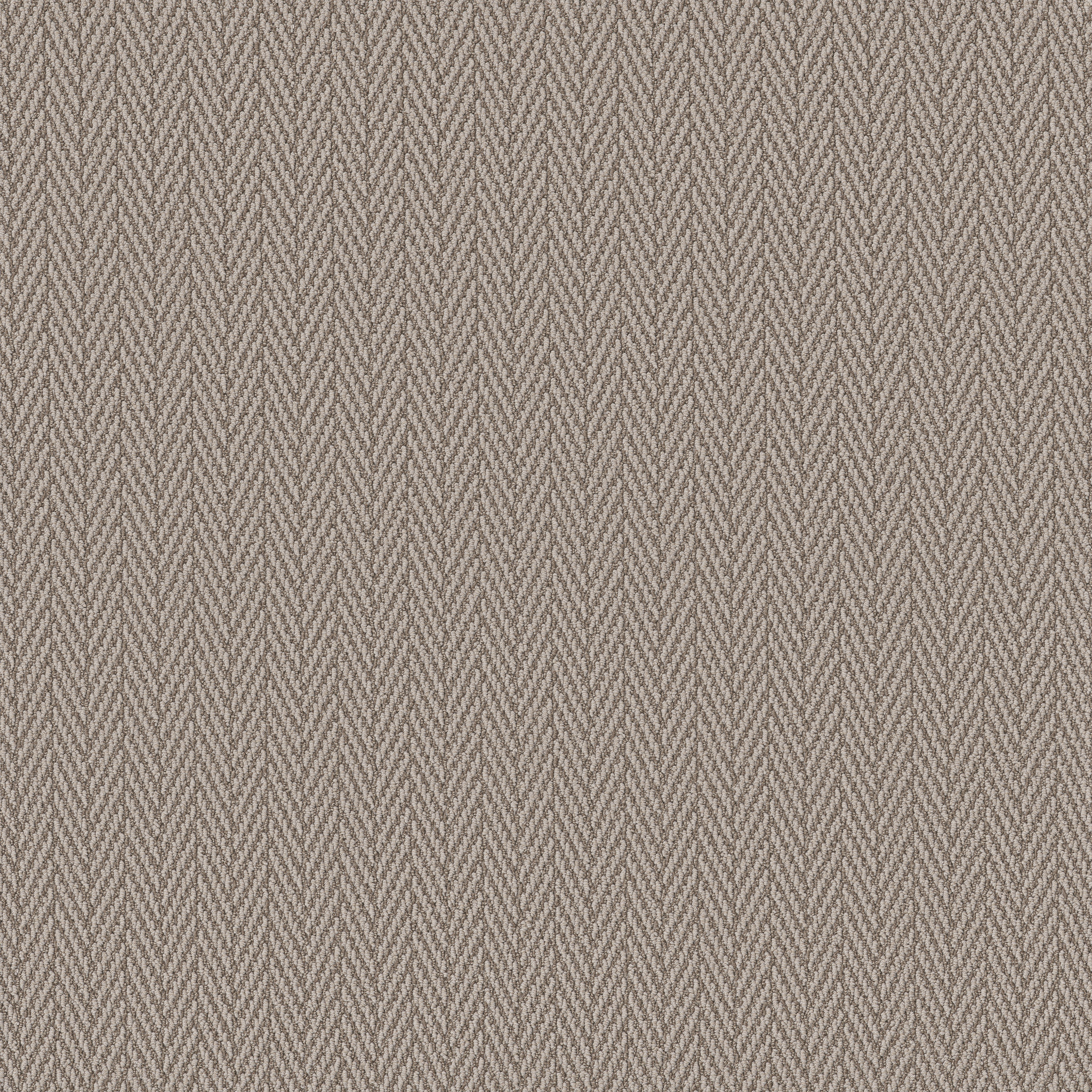 Always Yours - Fossil - ZB289_00753