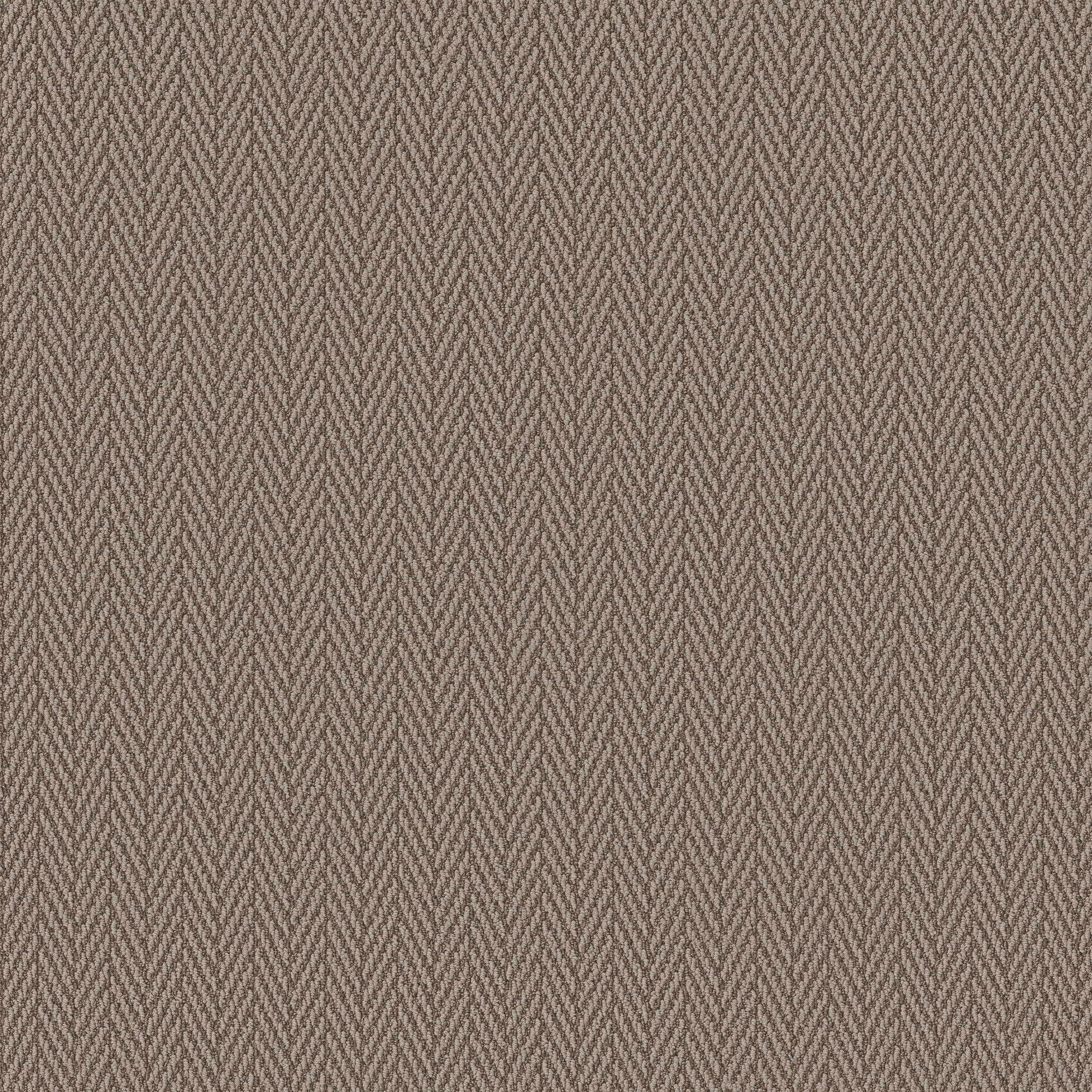 Always Yours-Tuscan-ZB289_00775